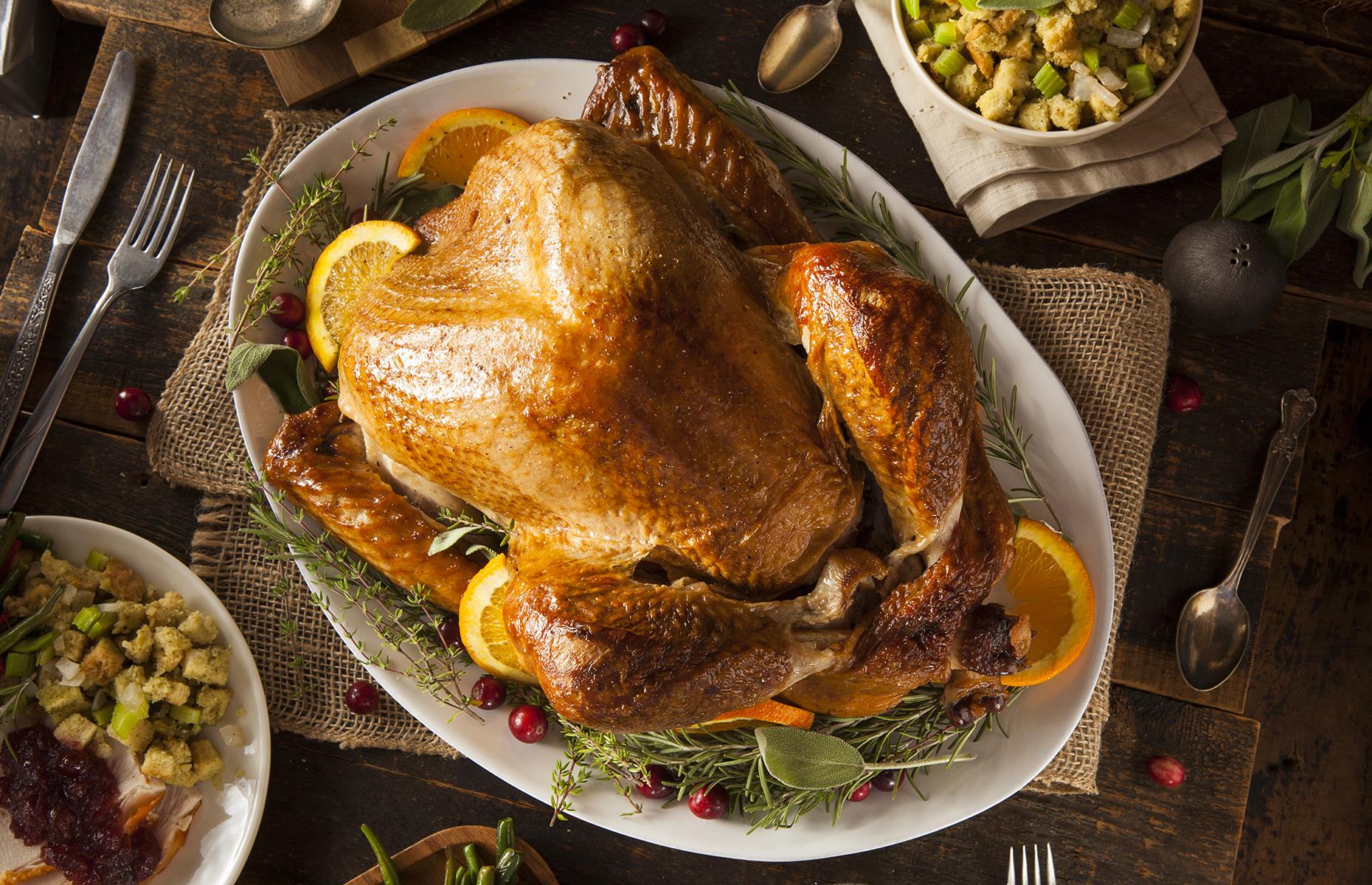 6. Buy a bigger bird than you think you need
