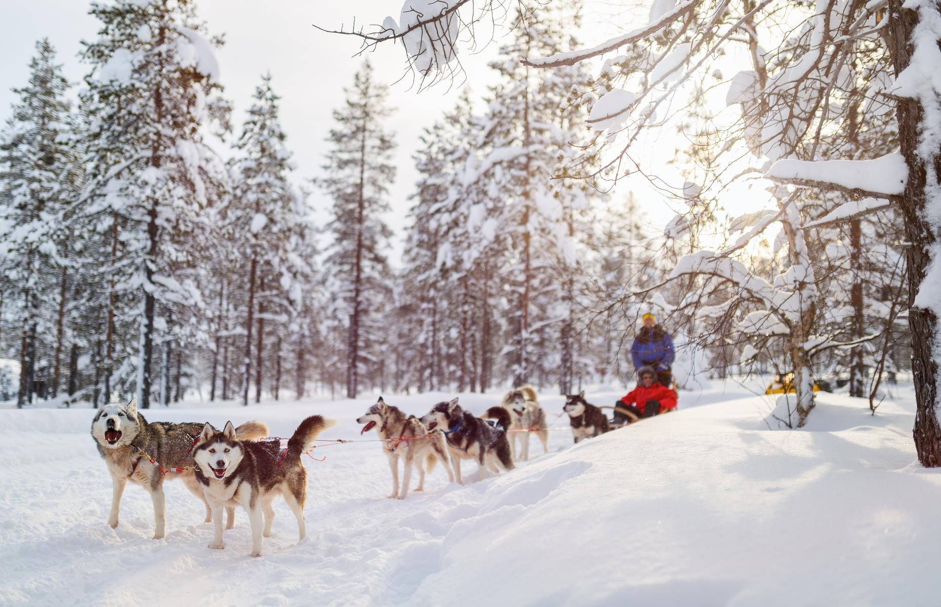 Saariselkä, Lapland 