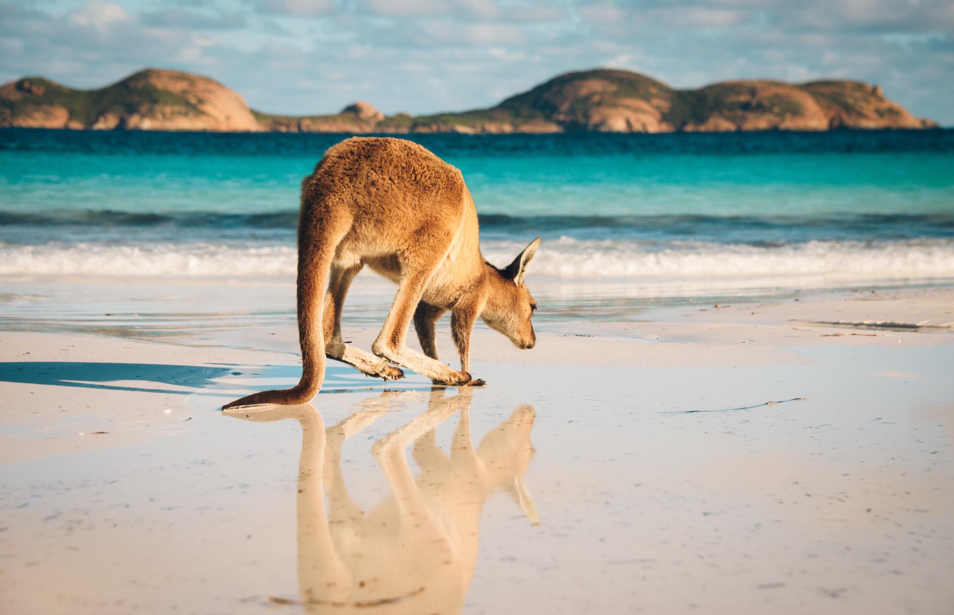Western Australia: Perth to Esperance
