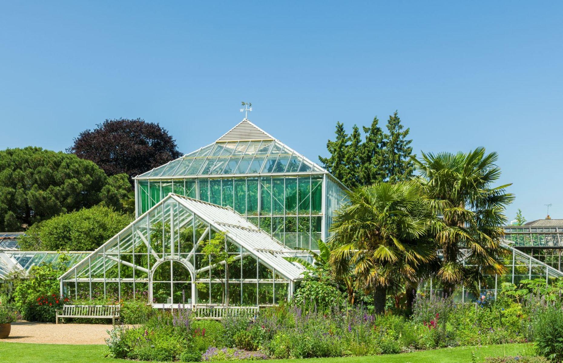 The highest recorded temperature in the UK is 38.7°C (101.66°F)