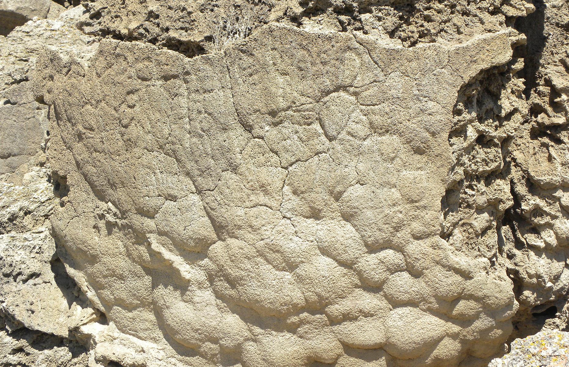 Winnemucca Lake petroglyphs, Nevada