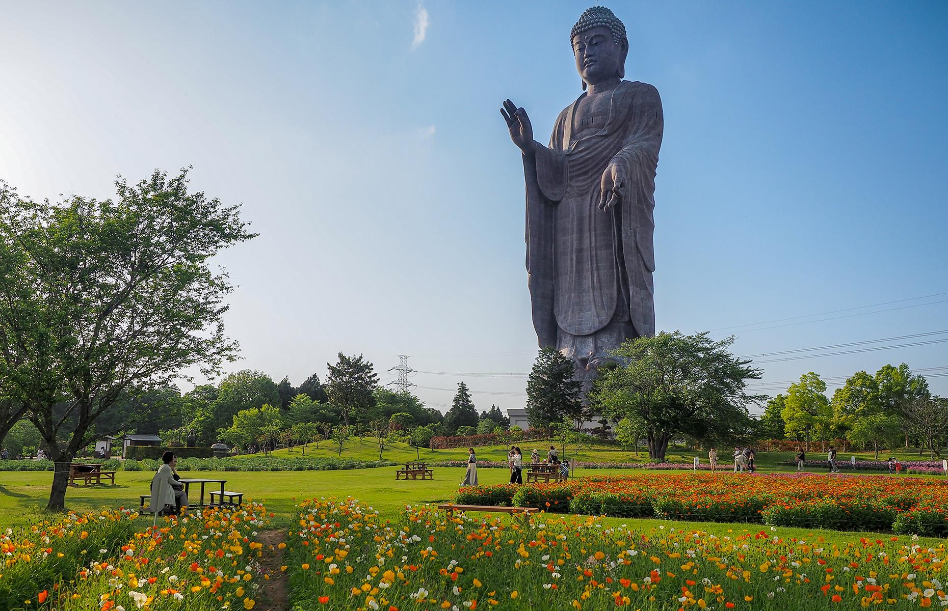 Первые памятники в мире. Дайбуцу Усику. Дайбуцу Усику Япония. Статуя . Дайбуцу Усику — статуя Будды. Статуя Будды Амитабхи в Японии.