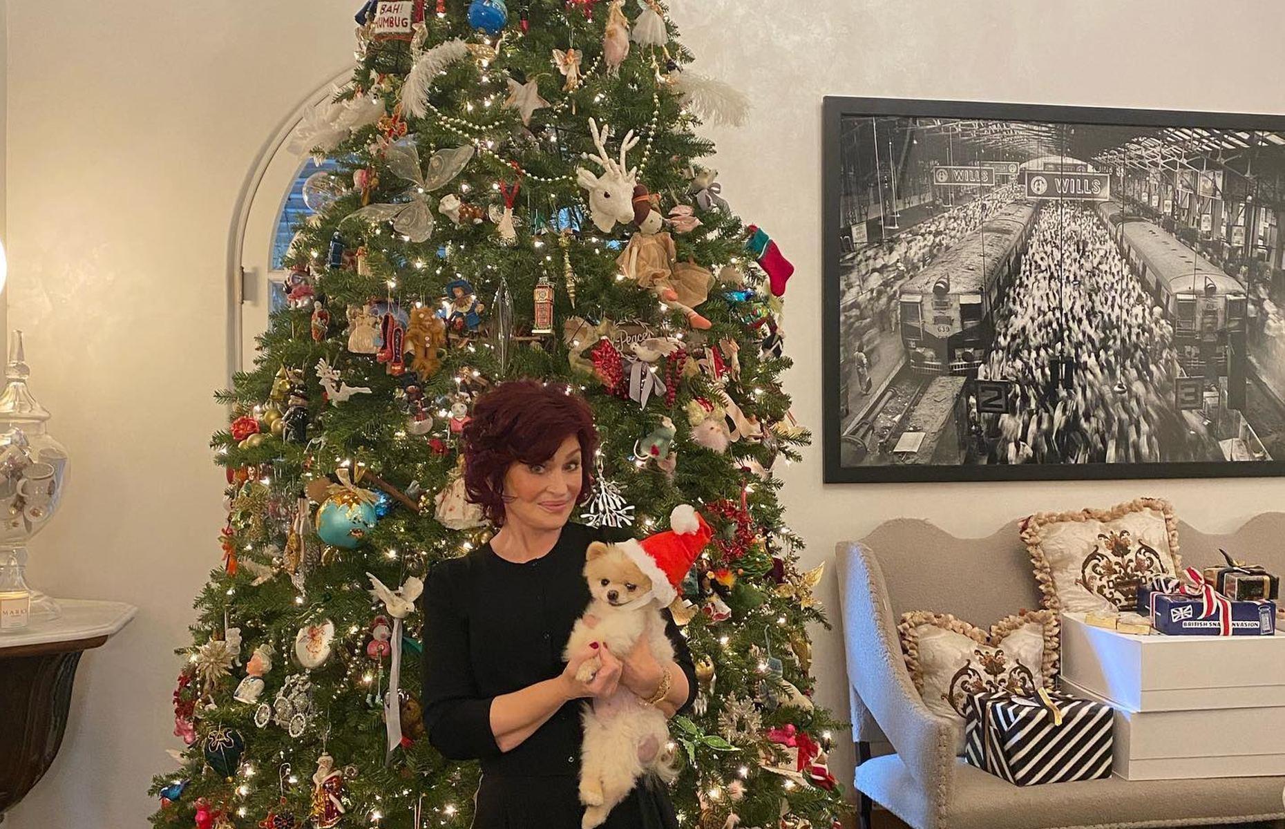 The Osbournes