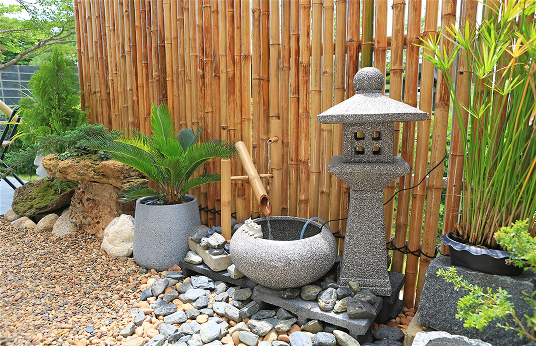 Bamboo treatment