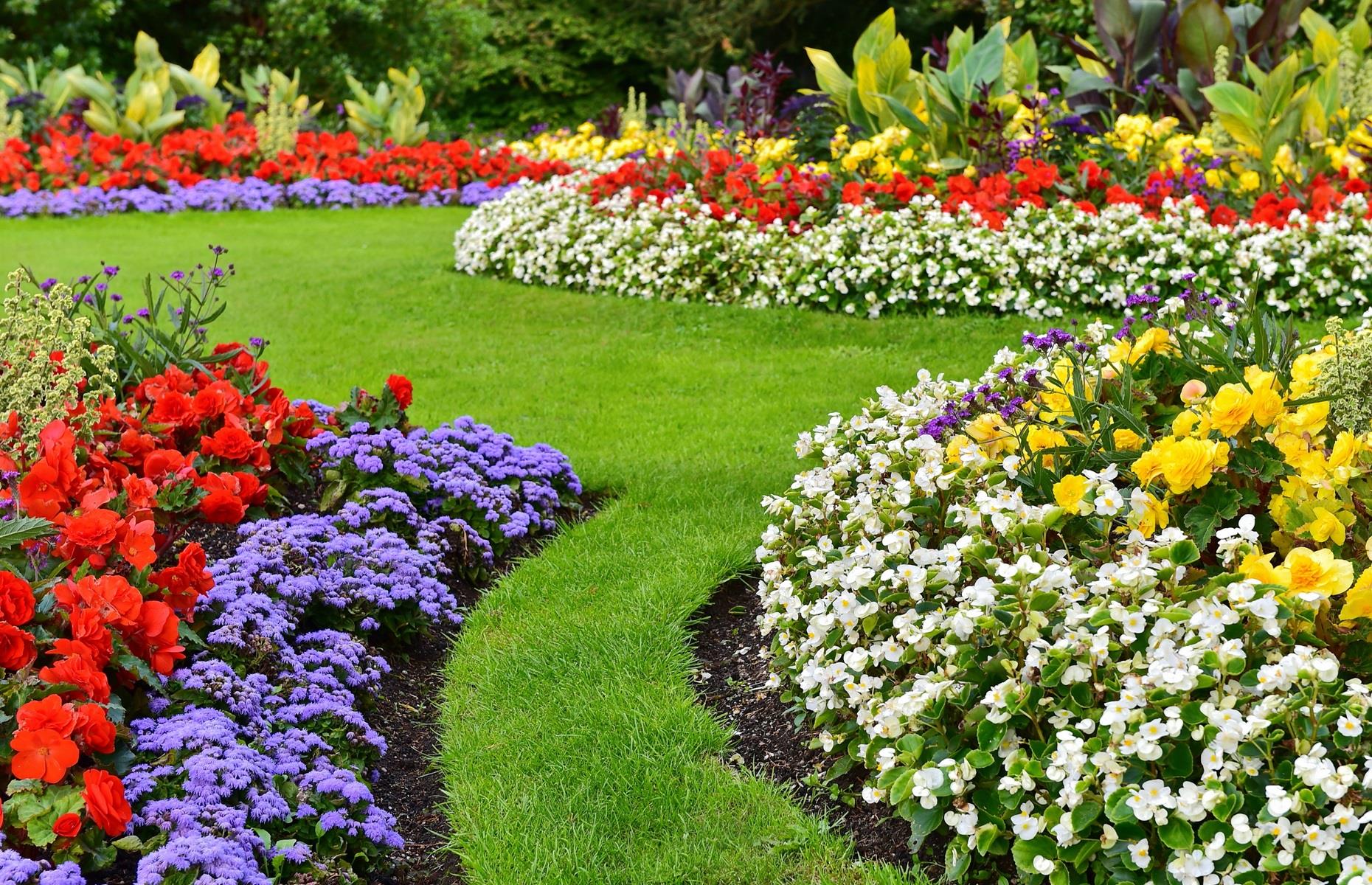 High-maintenance planting