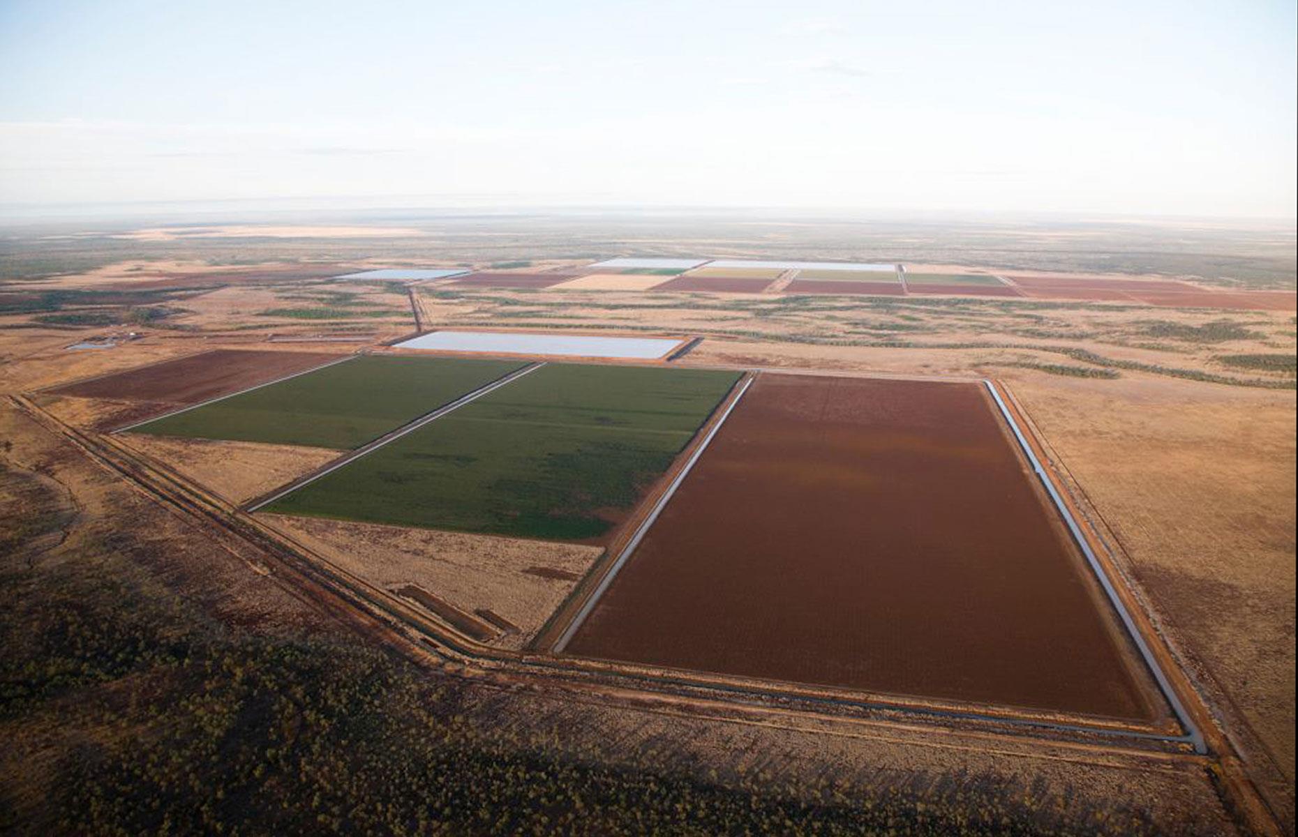 37th. Lorraine Pastoral Company shareholders: 240,000 hectares