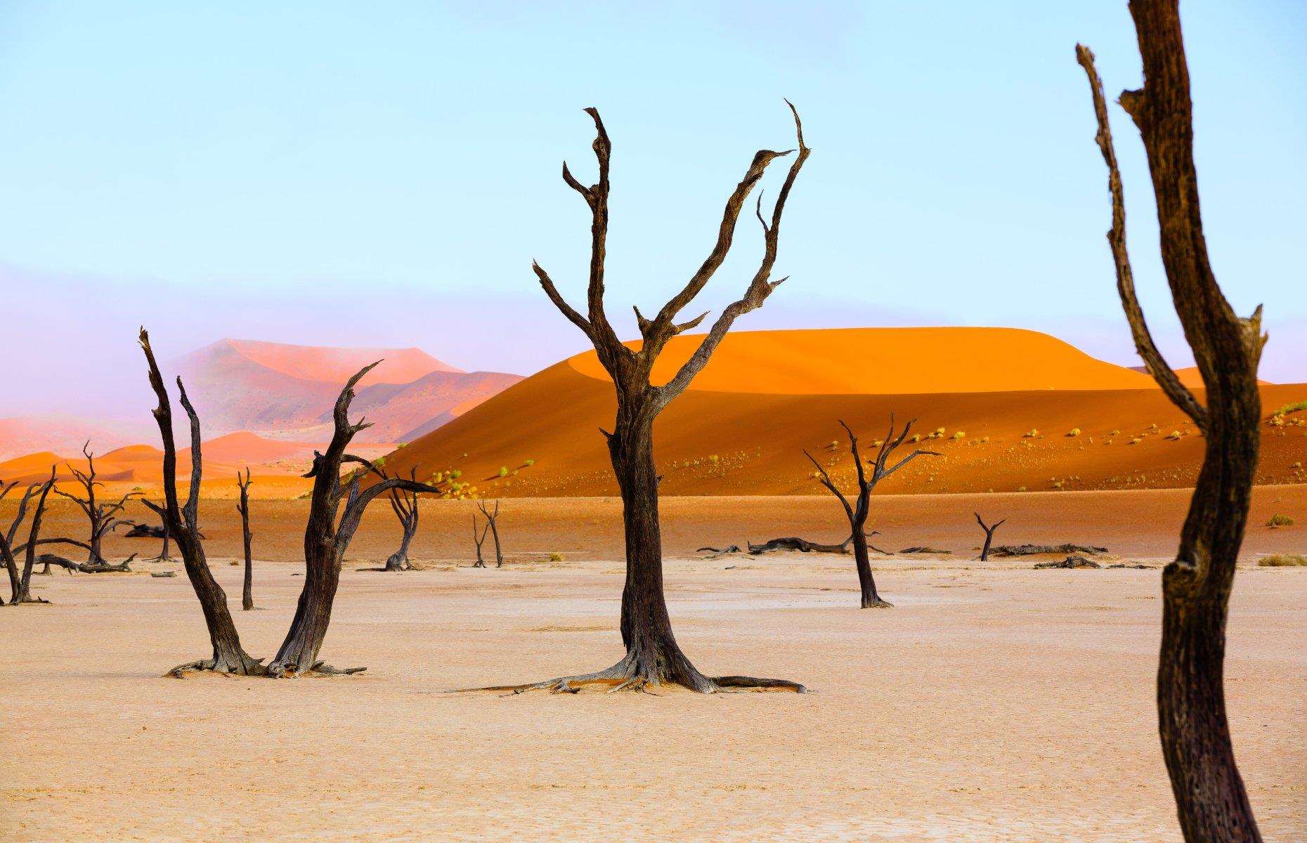 Festivals and safaris abound in underrated Namibia