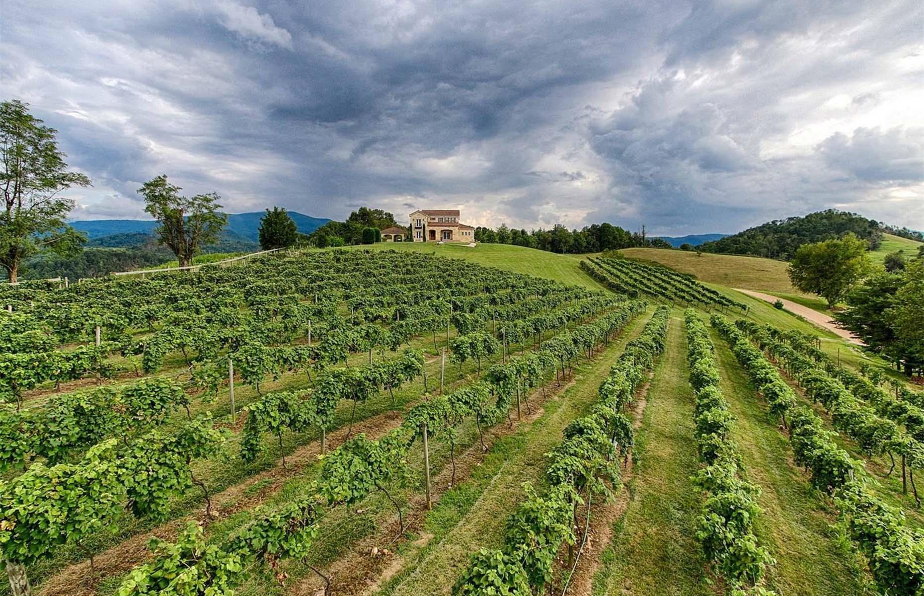 Drink in the views at these incredible vineyard homes for sale