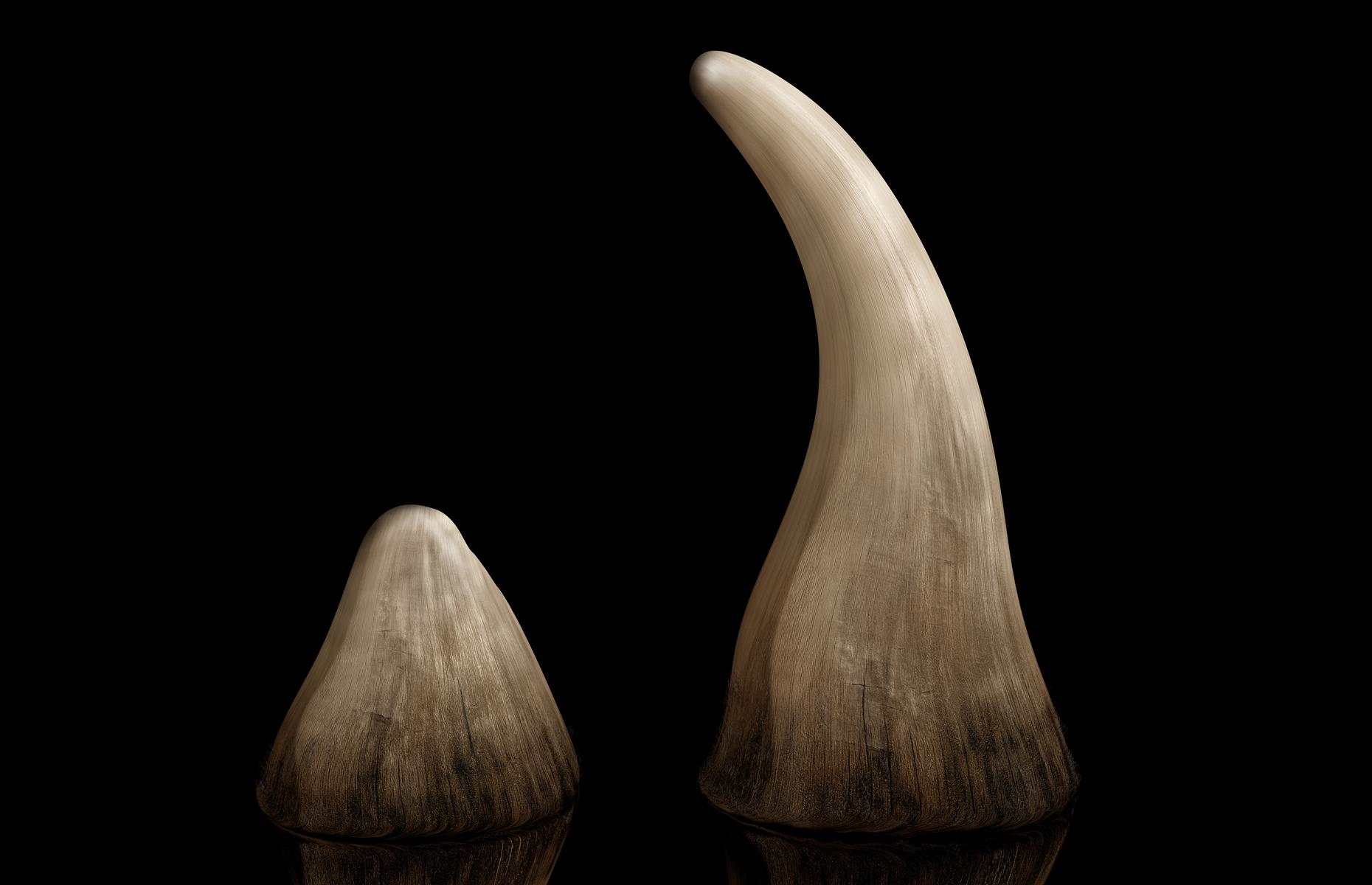 Rhino horn stockpiles are the subject of debate in Africa