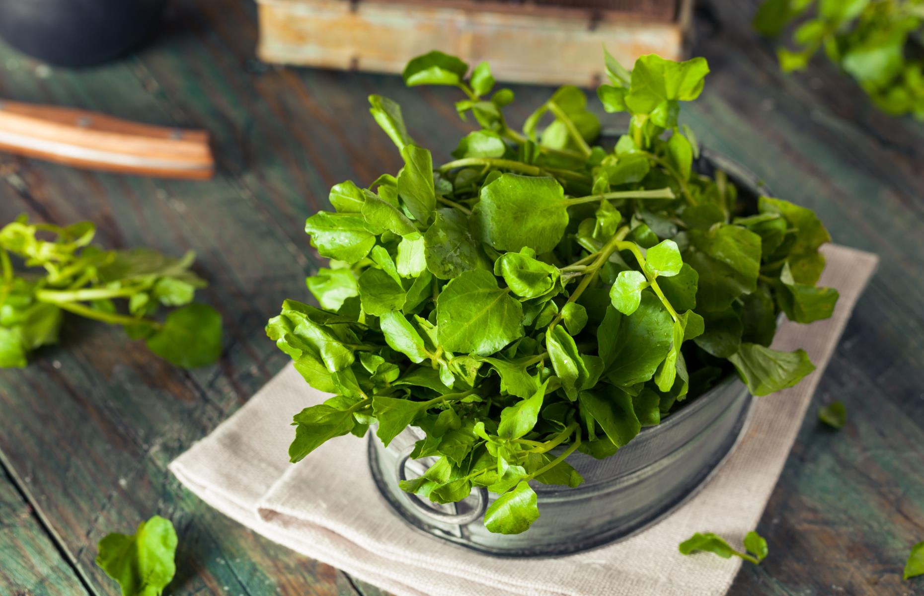 Watercress
