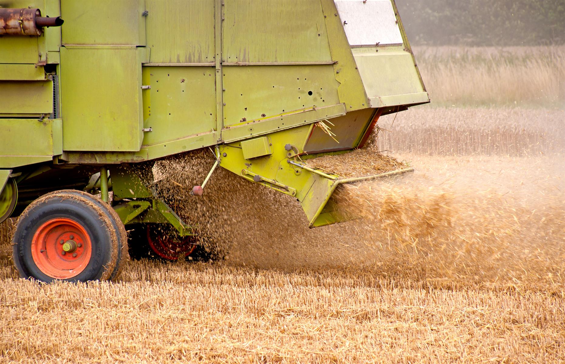 Tobacco for combine harvesters 