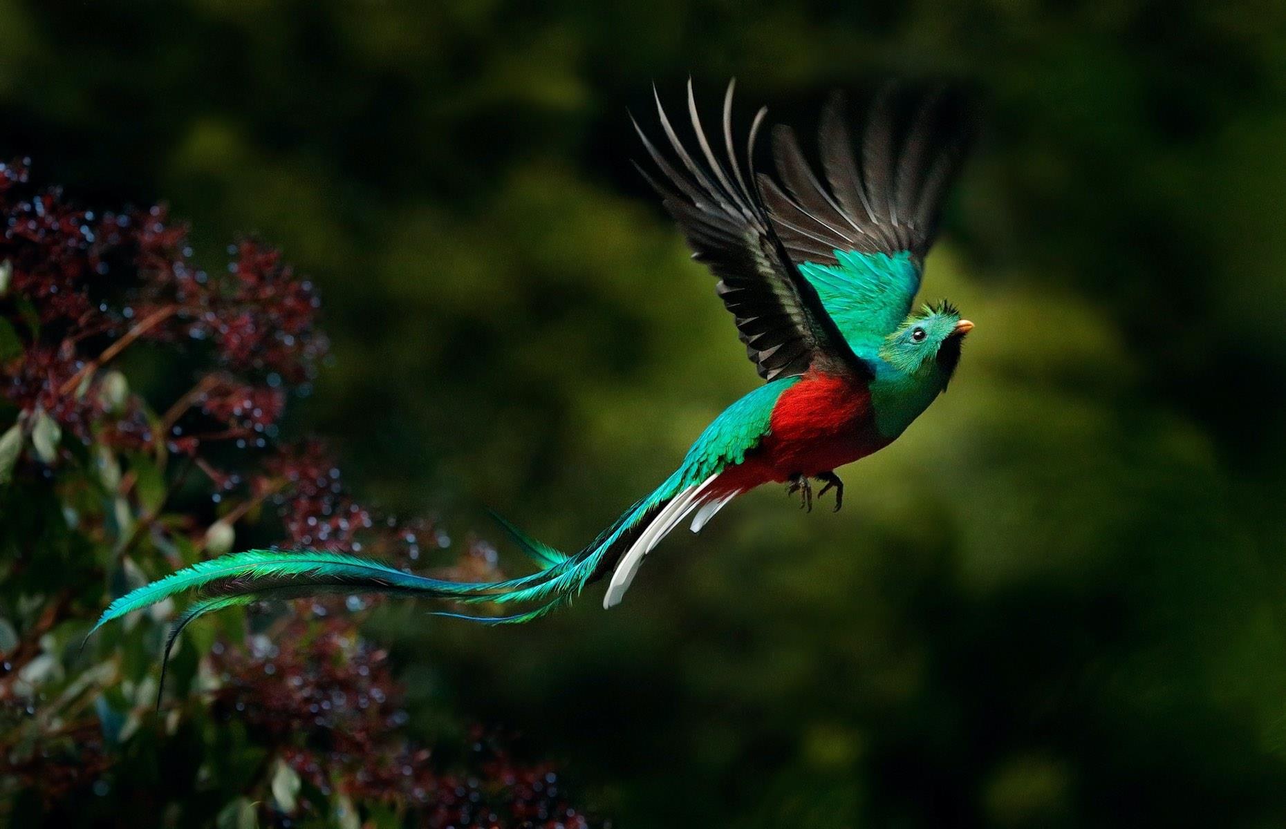 Costa Rica: for biodiversity