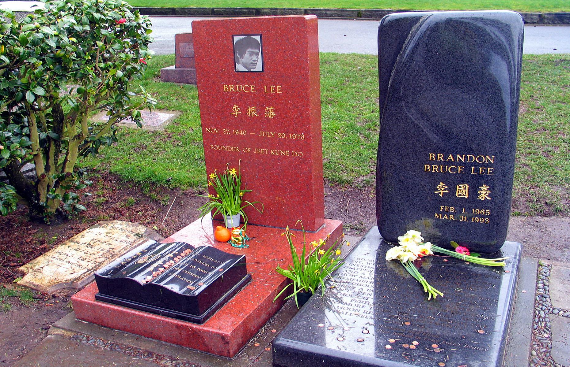 Bruce Lee and Brandon Lee, Washington, USA