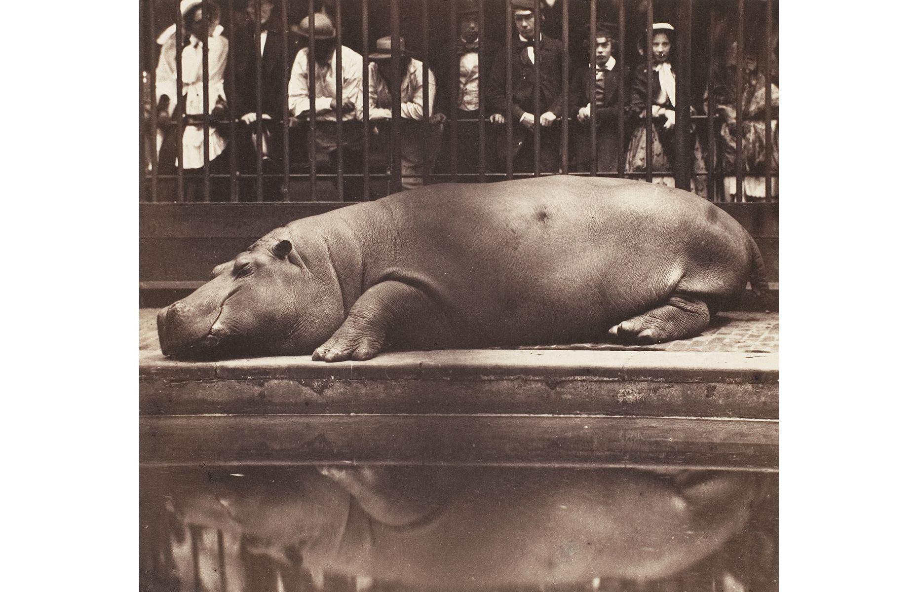 A trip to the zoo