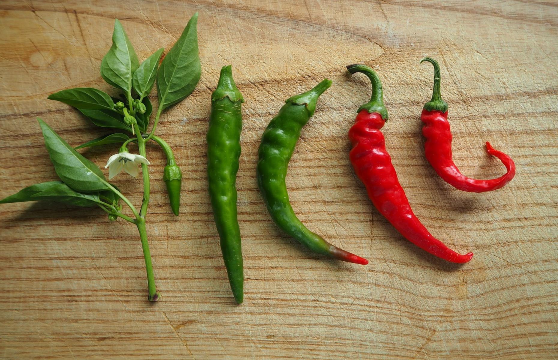 Chillies