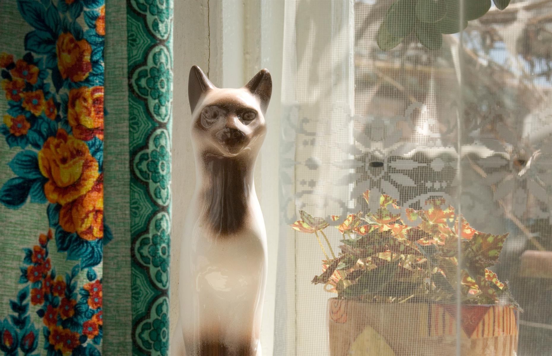 Animal ornaments