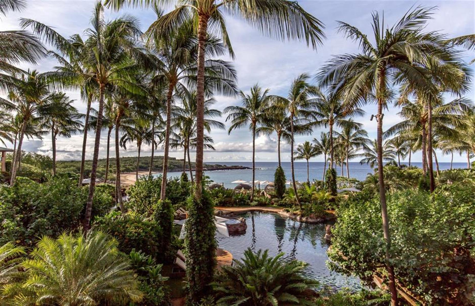 Lanai: Larry Ellison
