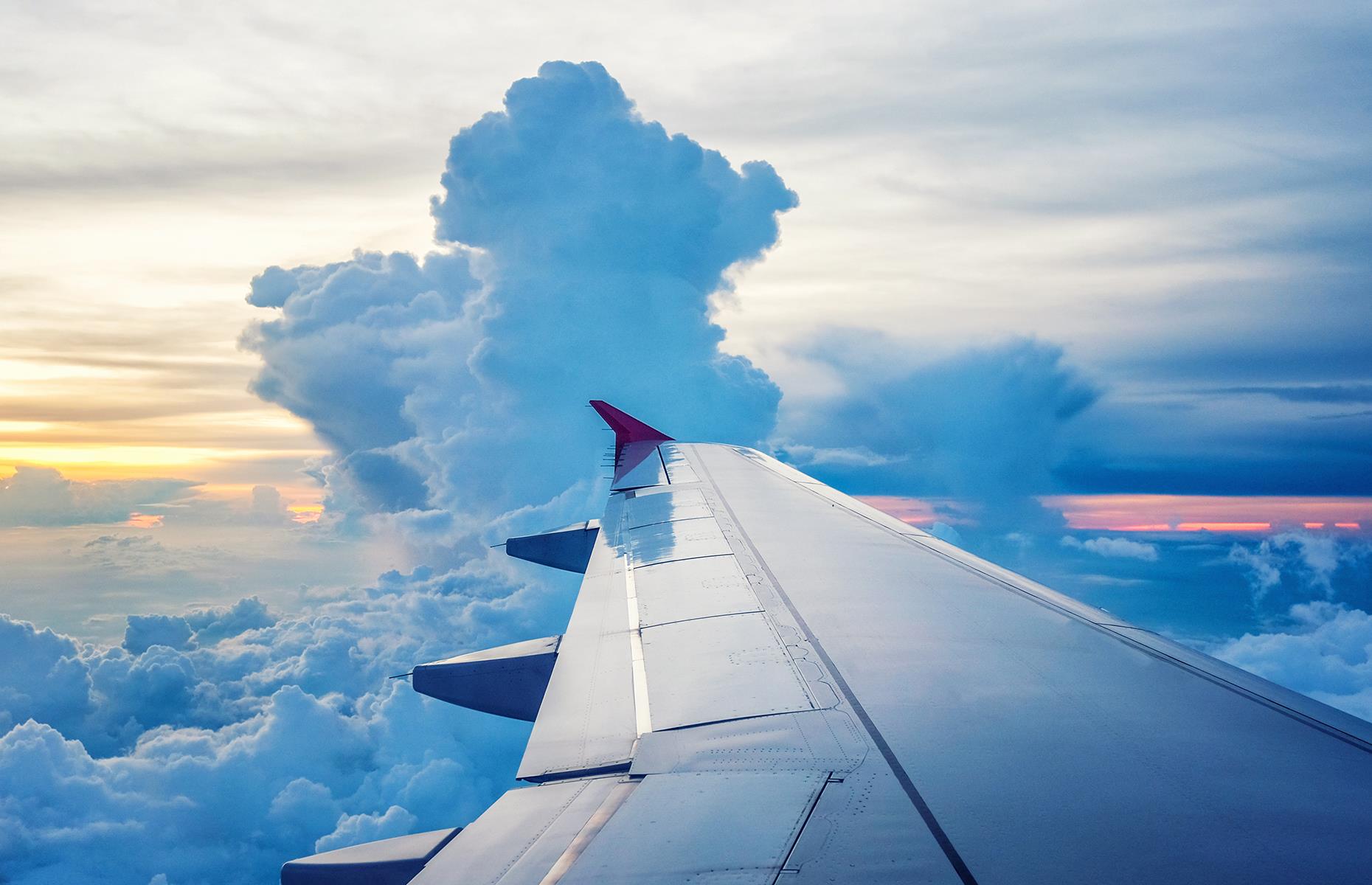 The wing of the plane