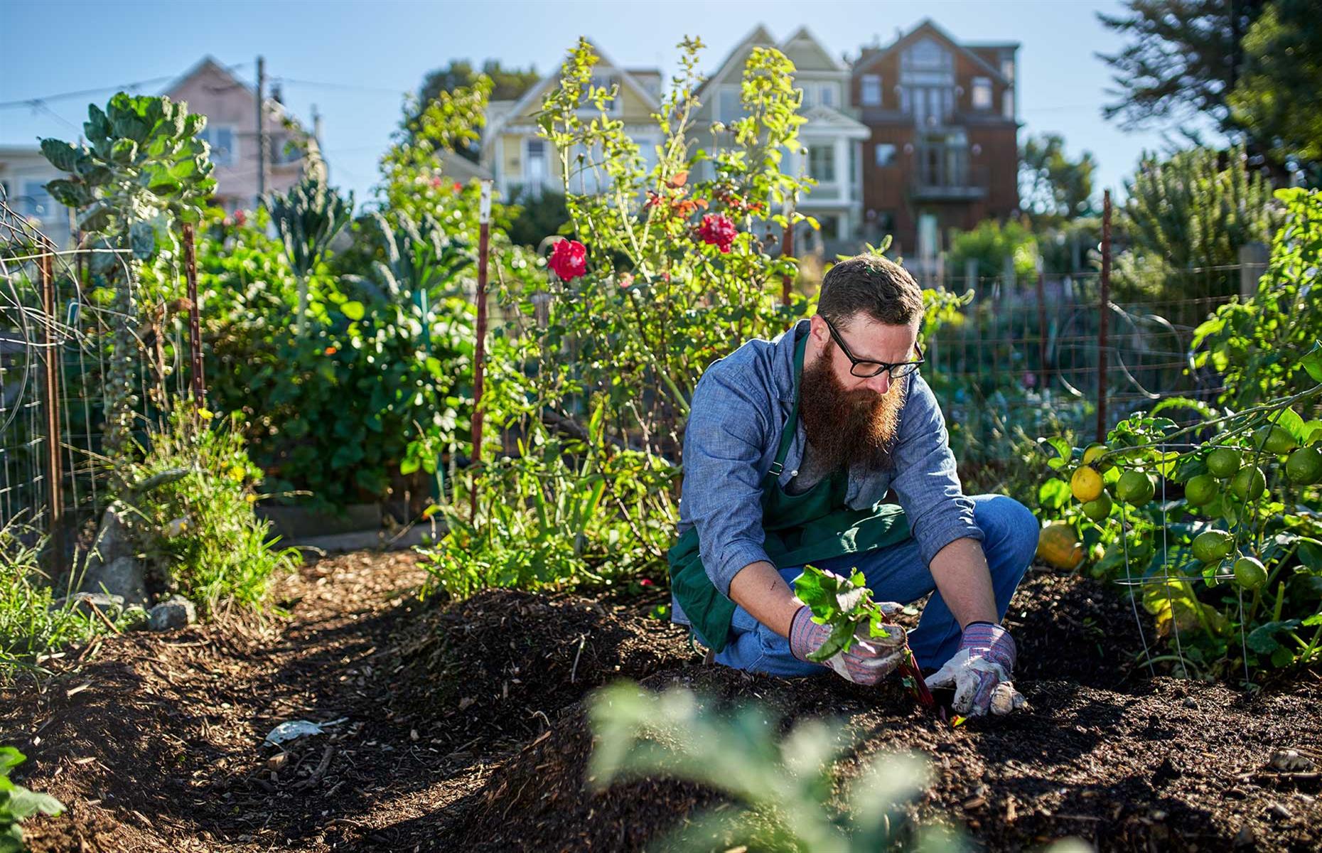 Earn money from your yard