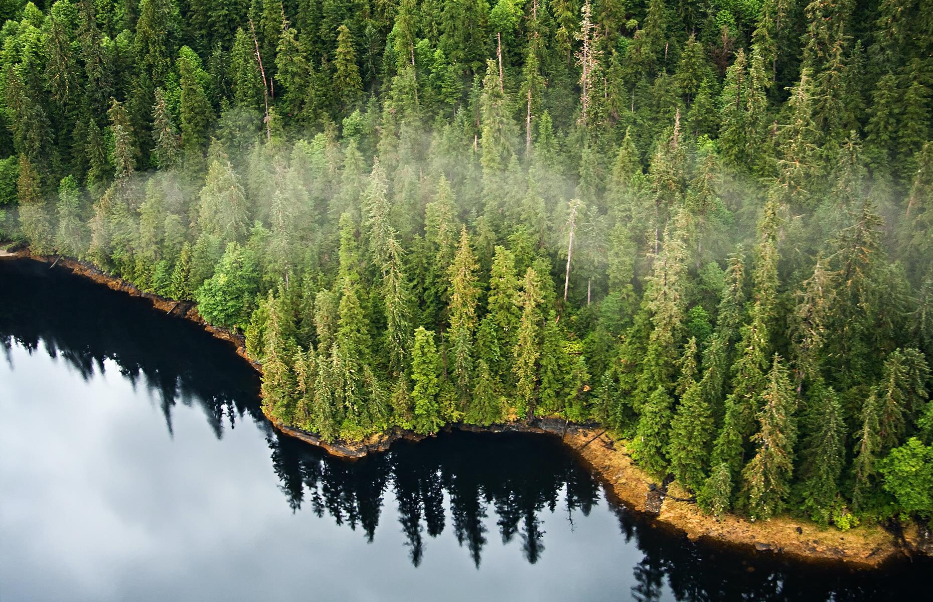 23. Tongass National Forest, Alaska