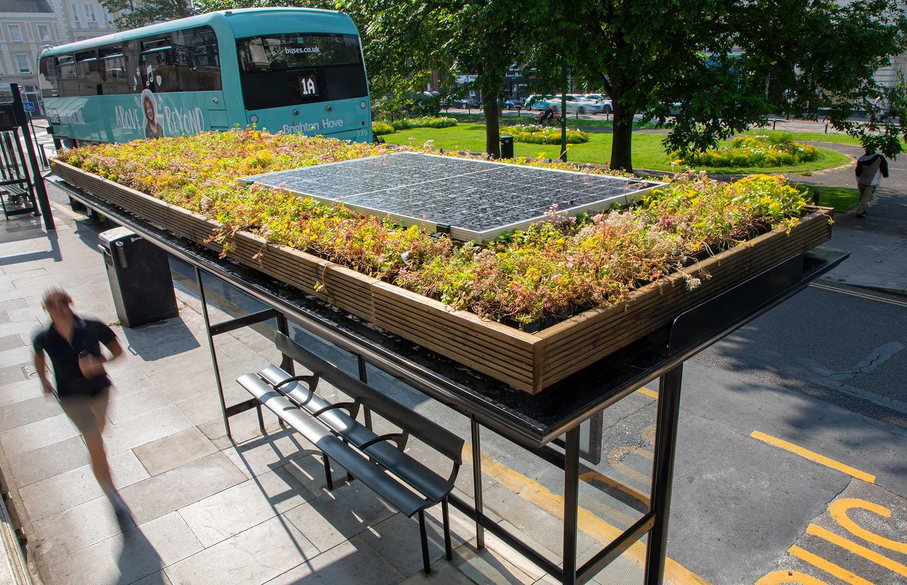 The UK is buzzing with bee bus stops
