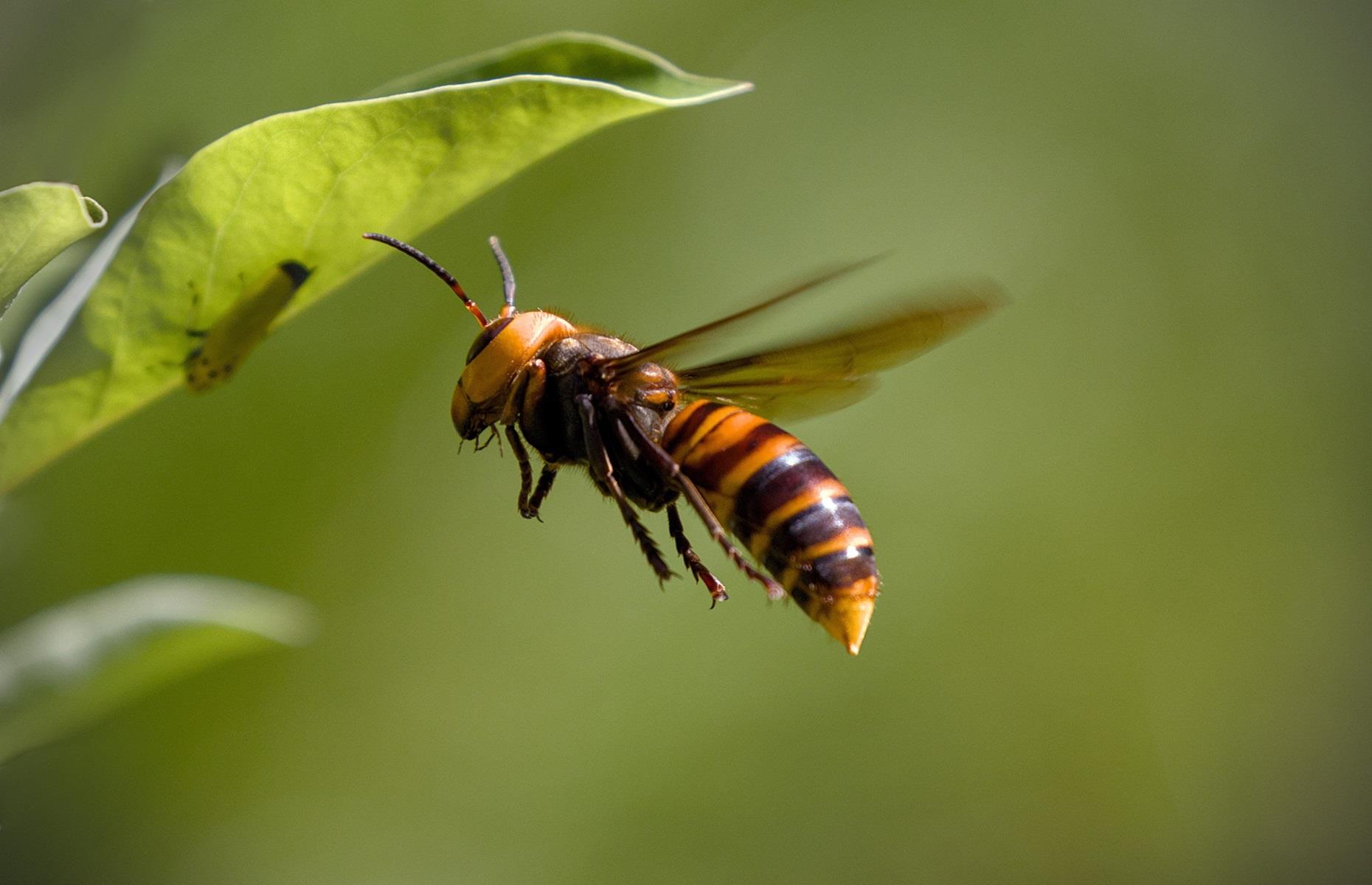 Banish warm-weather critters for good