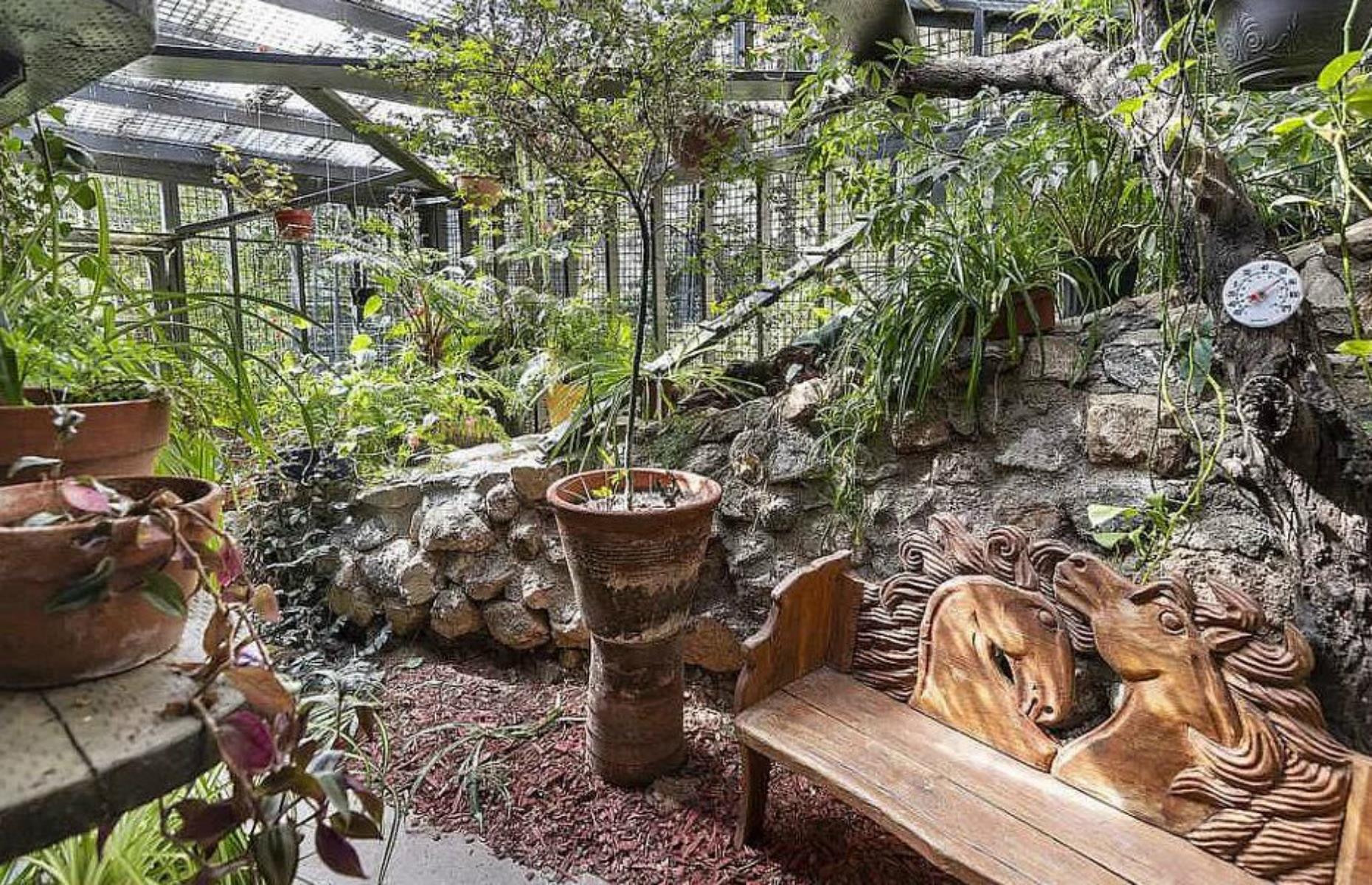 Backyard or sanctuary?
