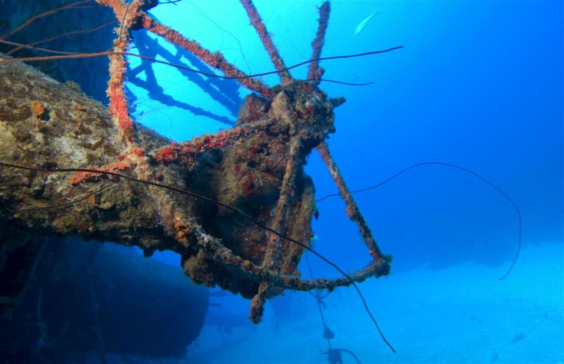 Hilma Hooker, Bonaire, Caribbean
