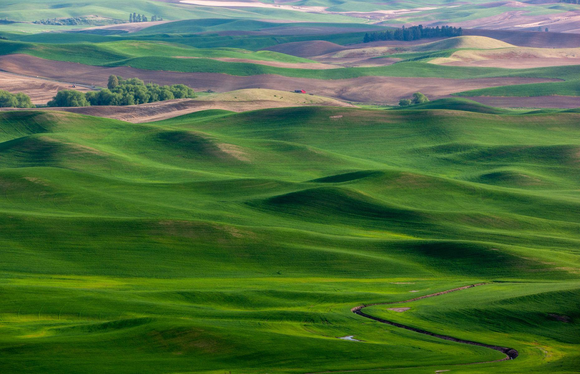 7. The Palouse, Washington/Idaho