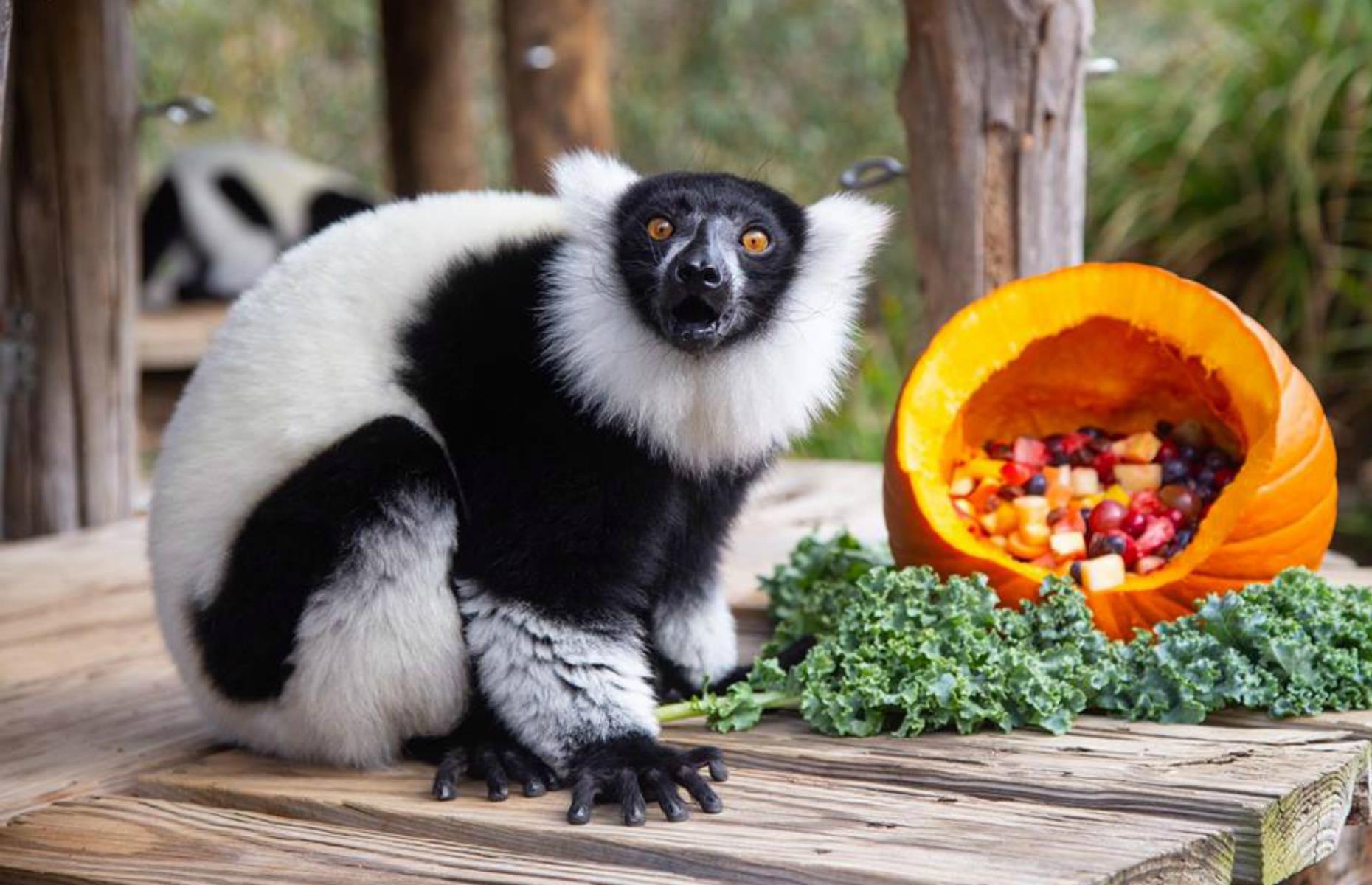 Smithsonian National Zoological Park, Washington DC