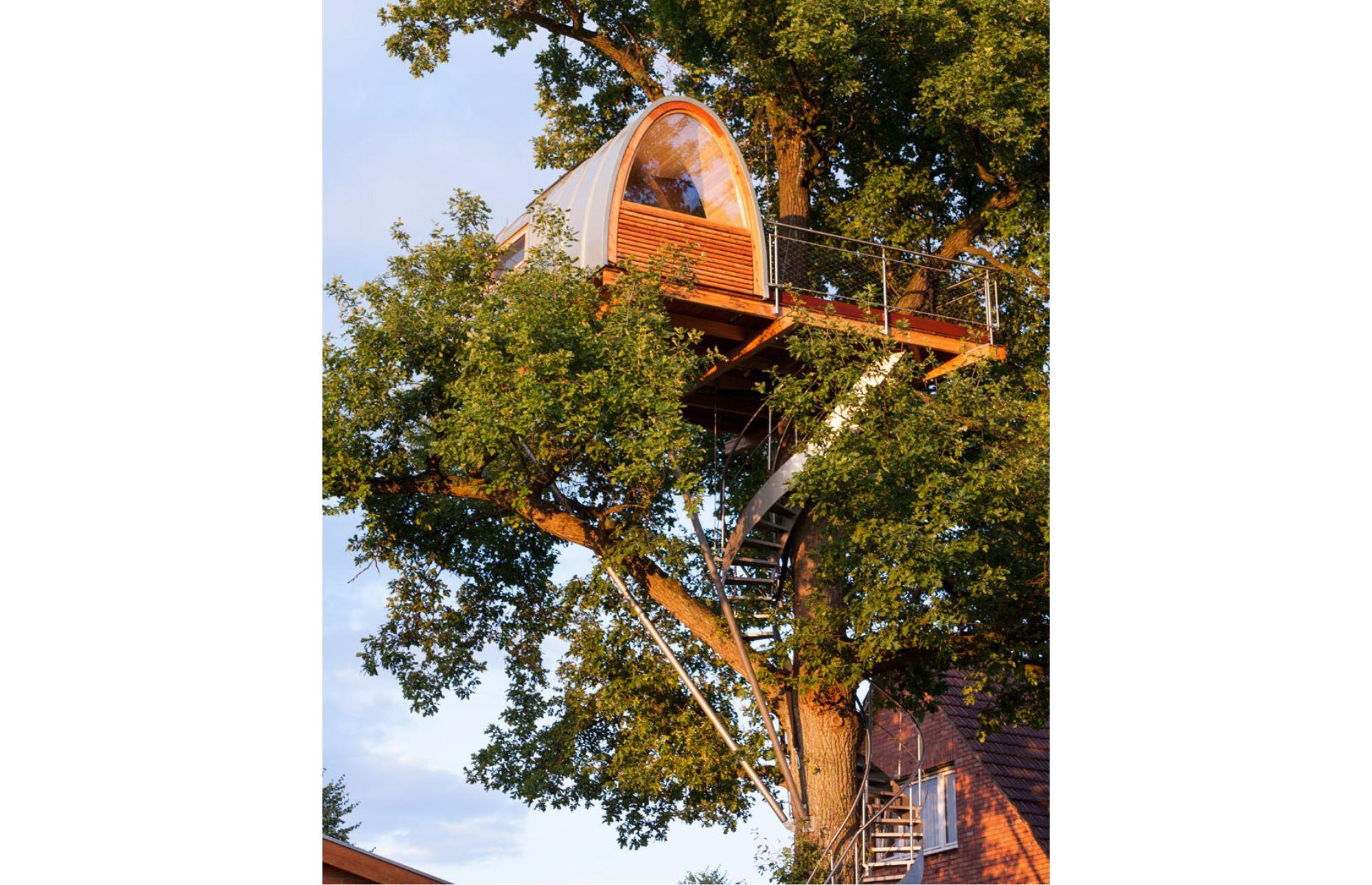 Around the Oak, Saxony-Anhalt, Germany