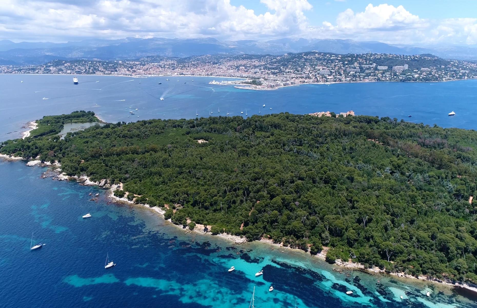 For: Lerins Islands, France