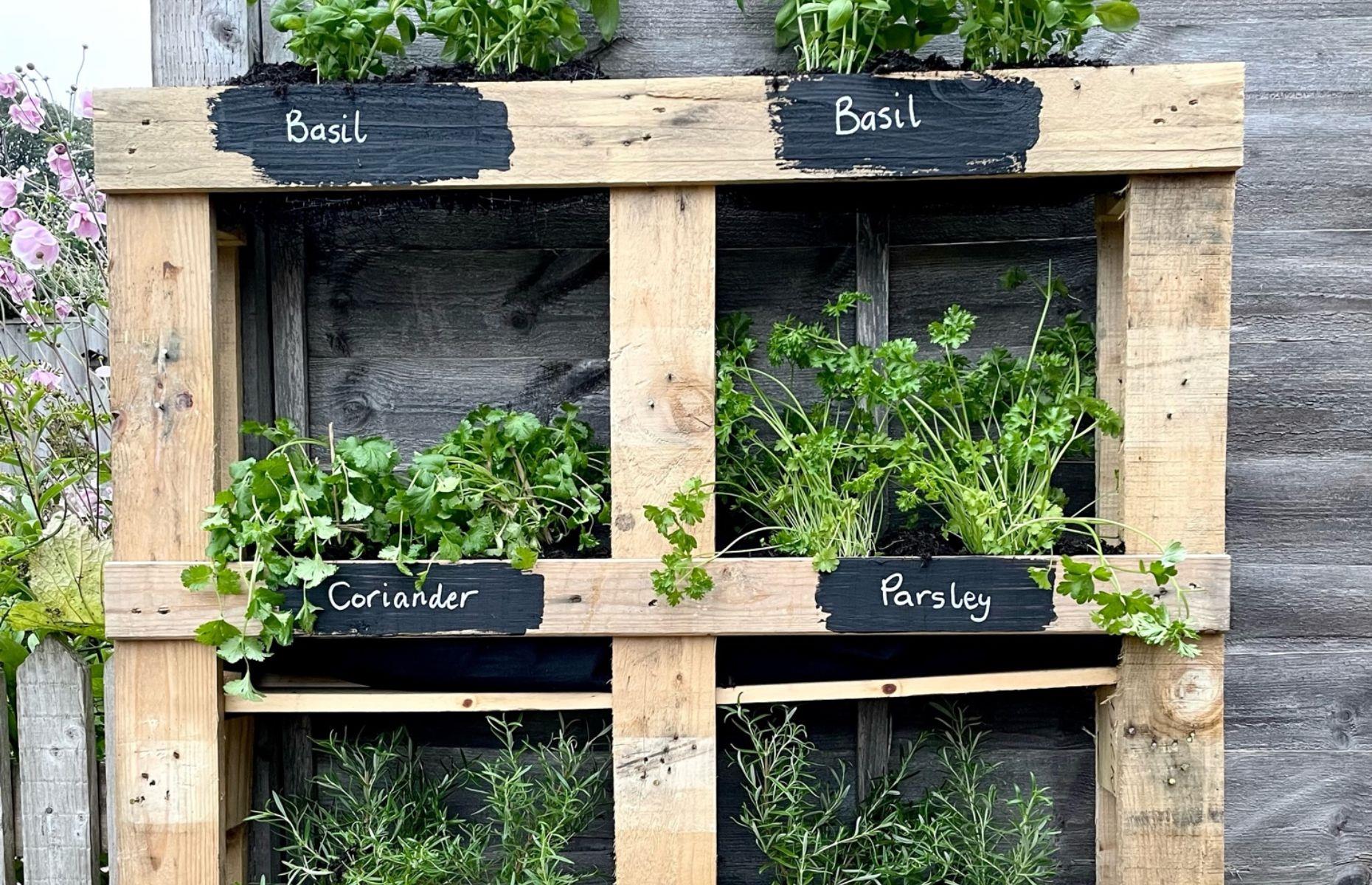 Plant up a herb garden