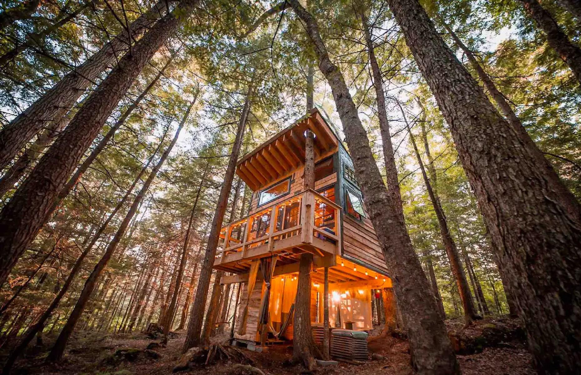 Casa del árbol en el bosque, Vermont, Estados Unidos