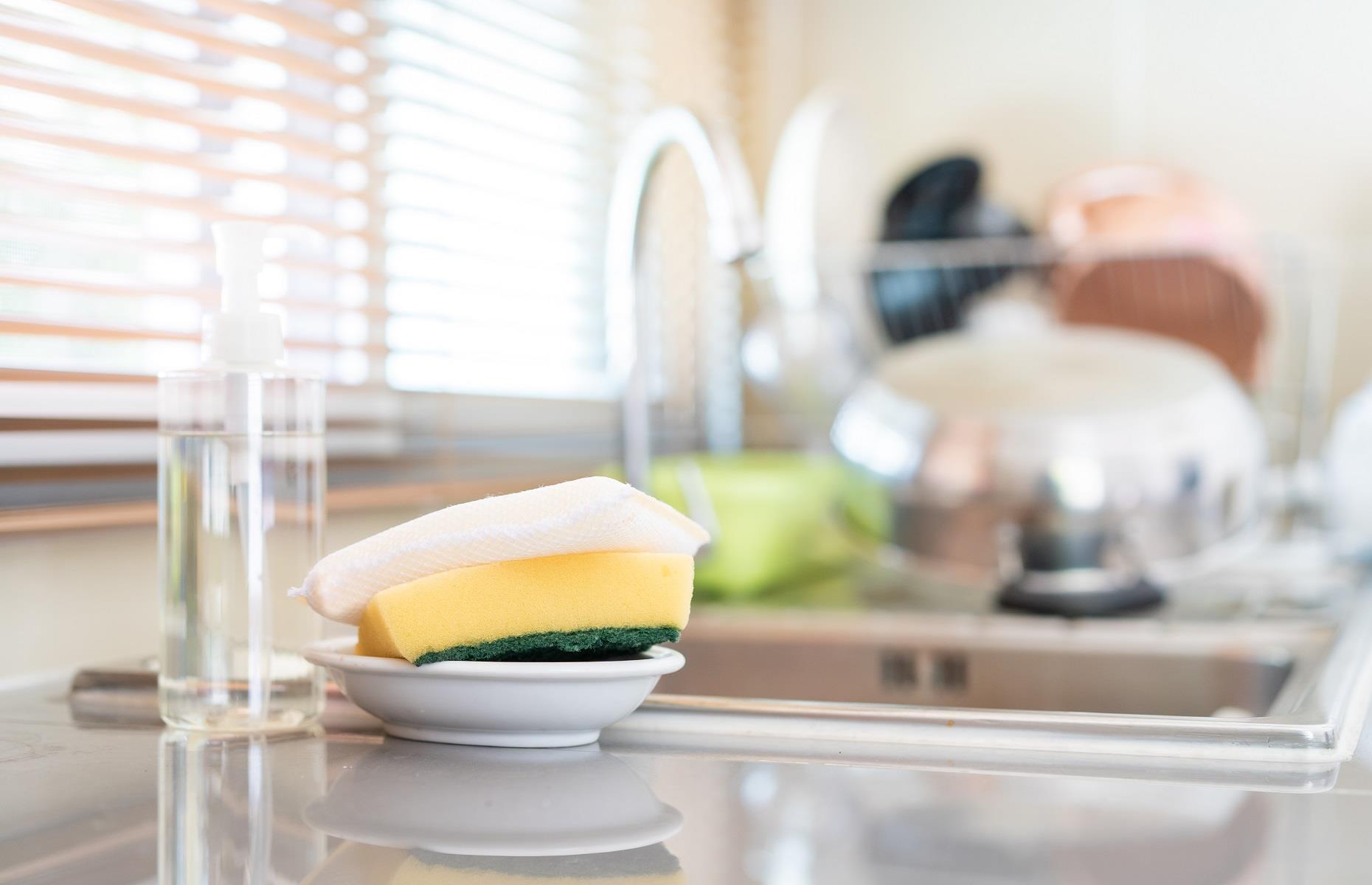 Sponges, cloths and towels