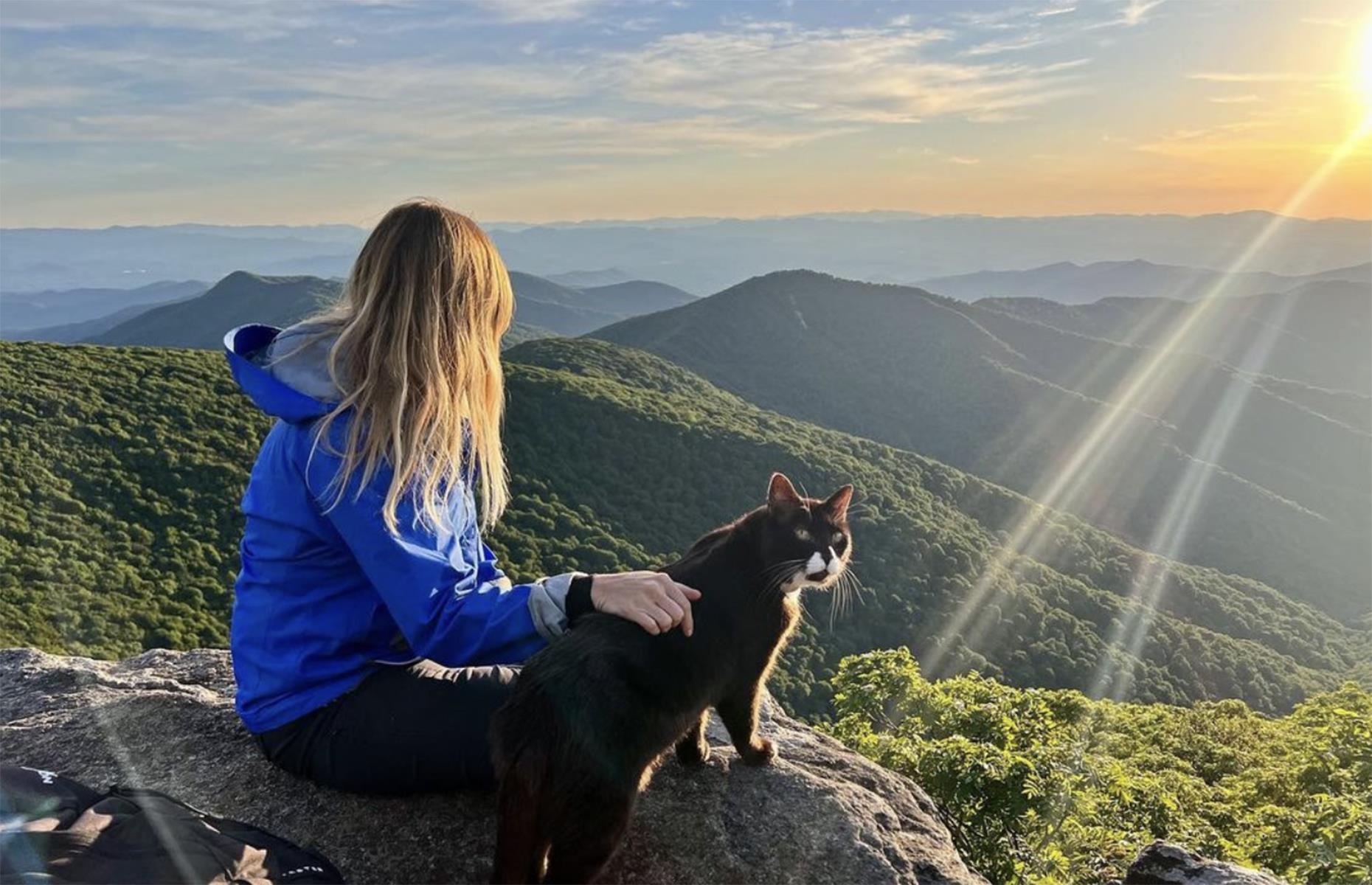 Burma Adventure Cat