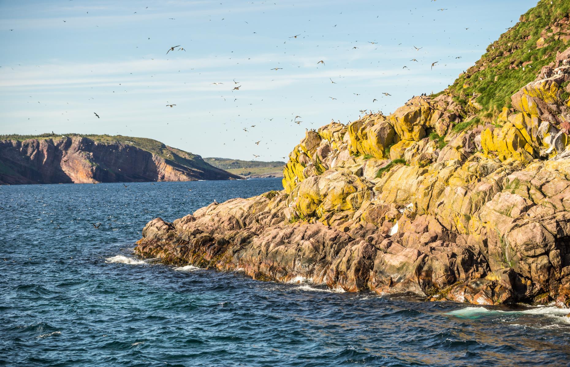 Newfoundland: Irish Loop 