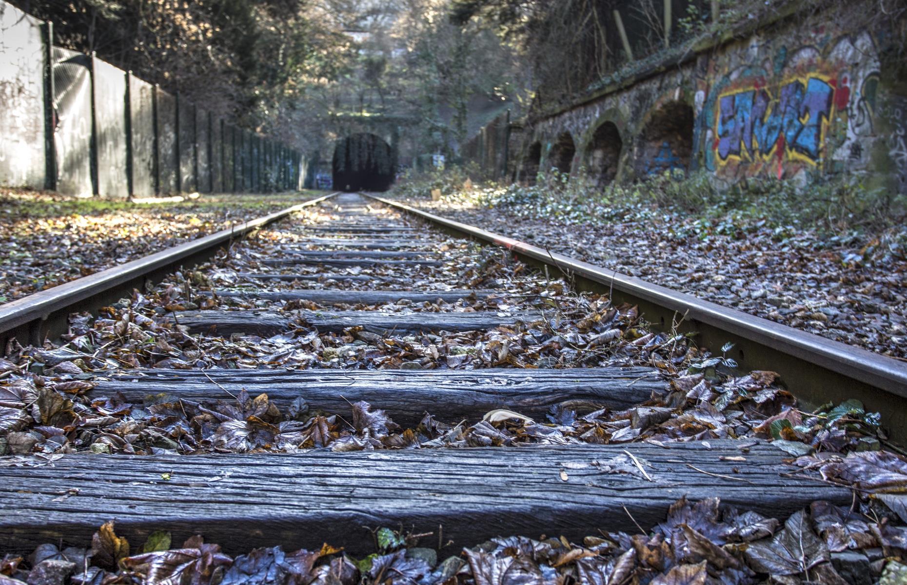 La Petite Ceinture, Paris, France