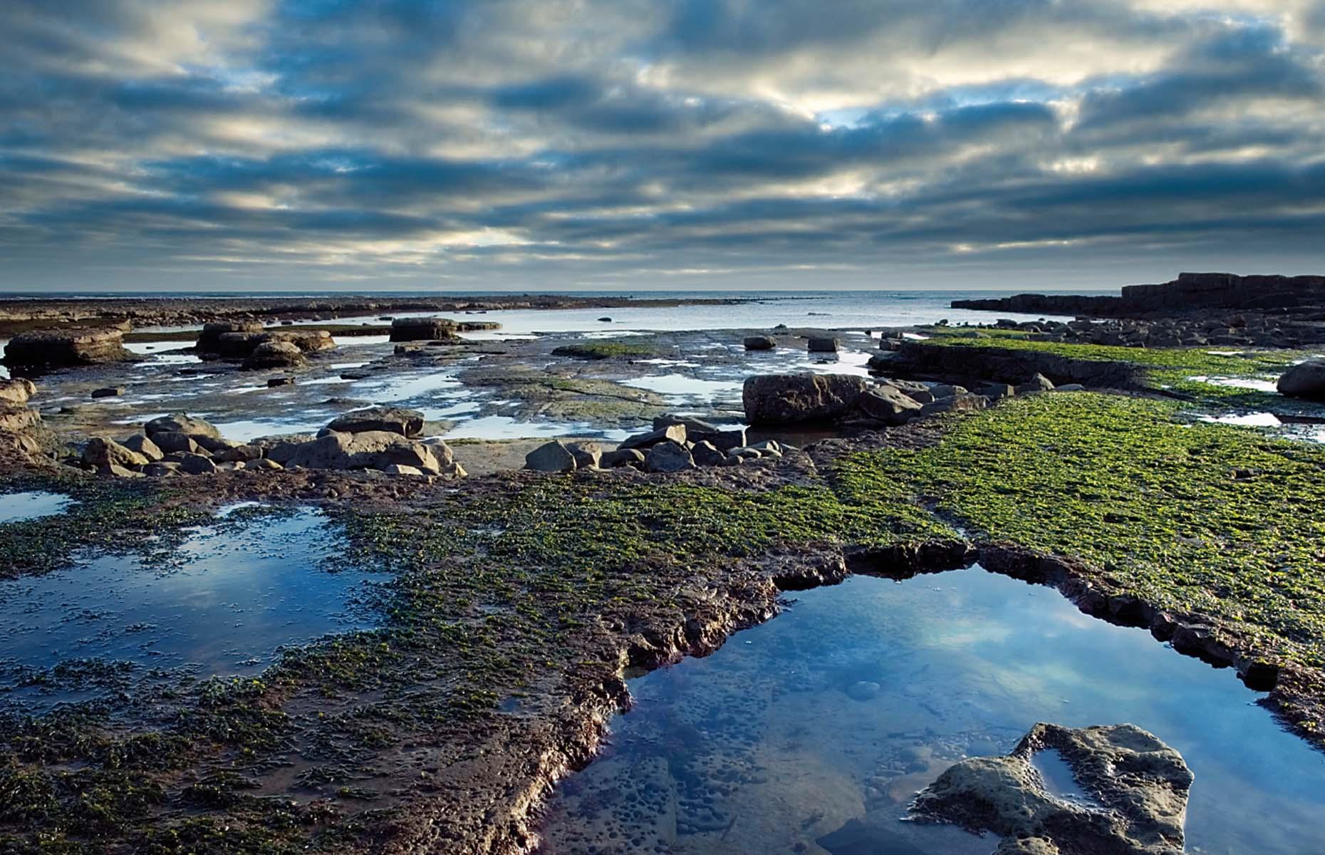 December: Lyme Bay, Devon/Dorset 