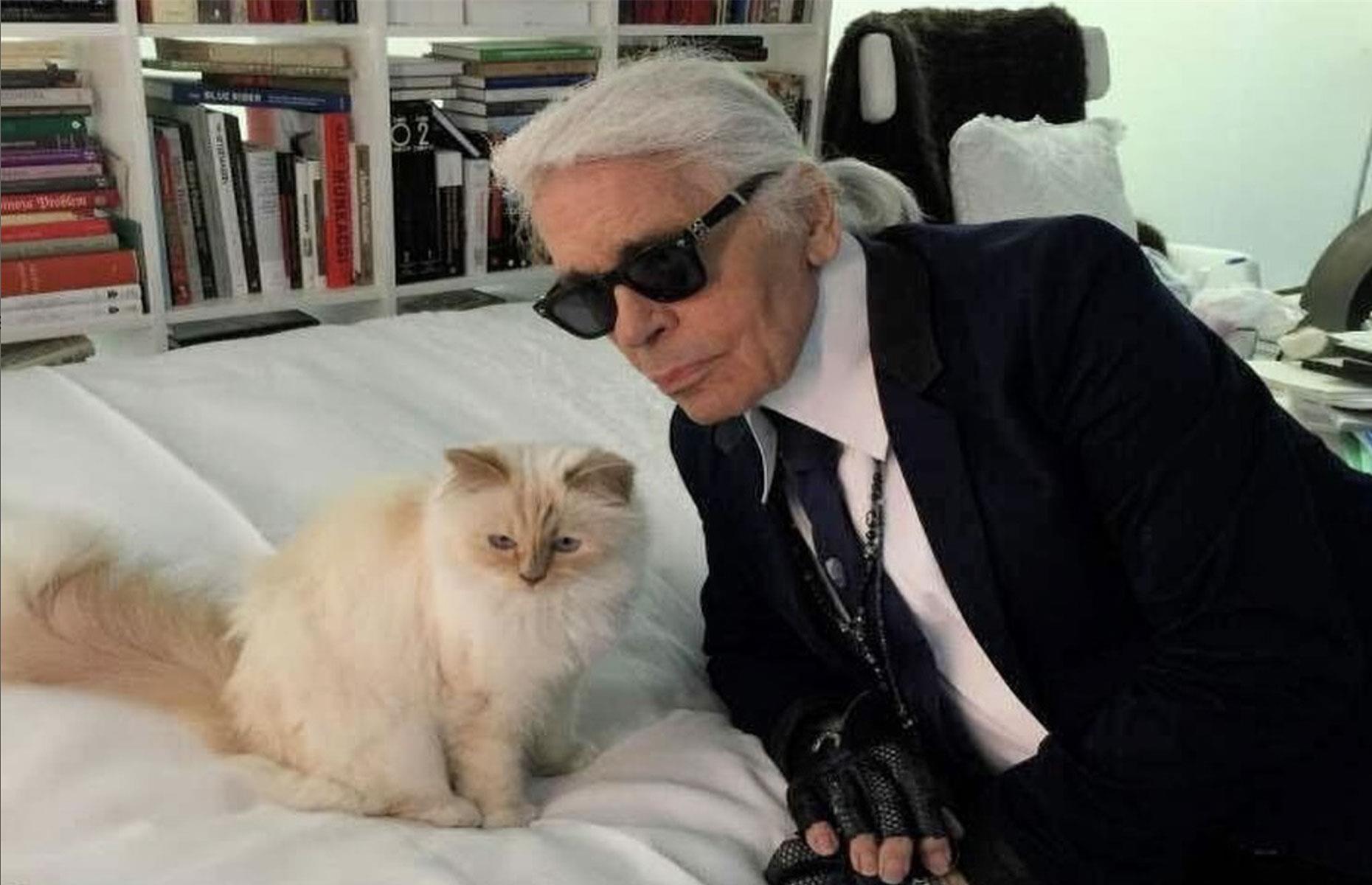 2014: Karl Lagerfeld's legacy