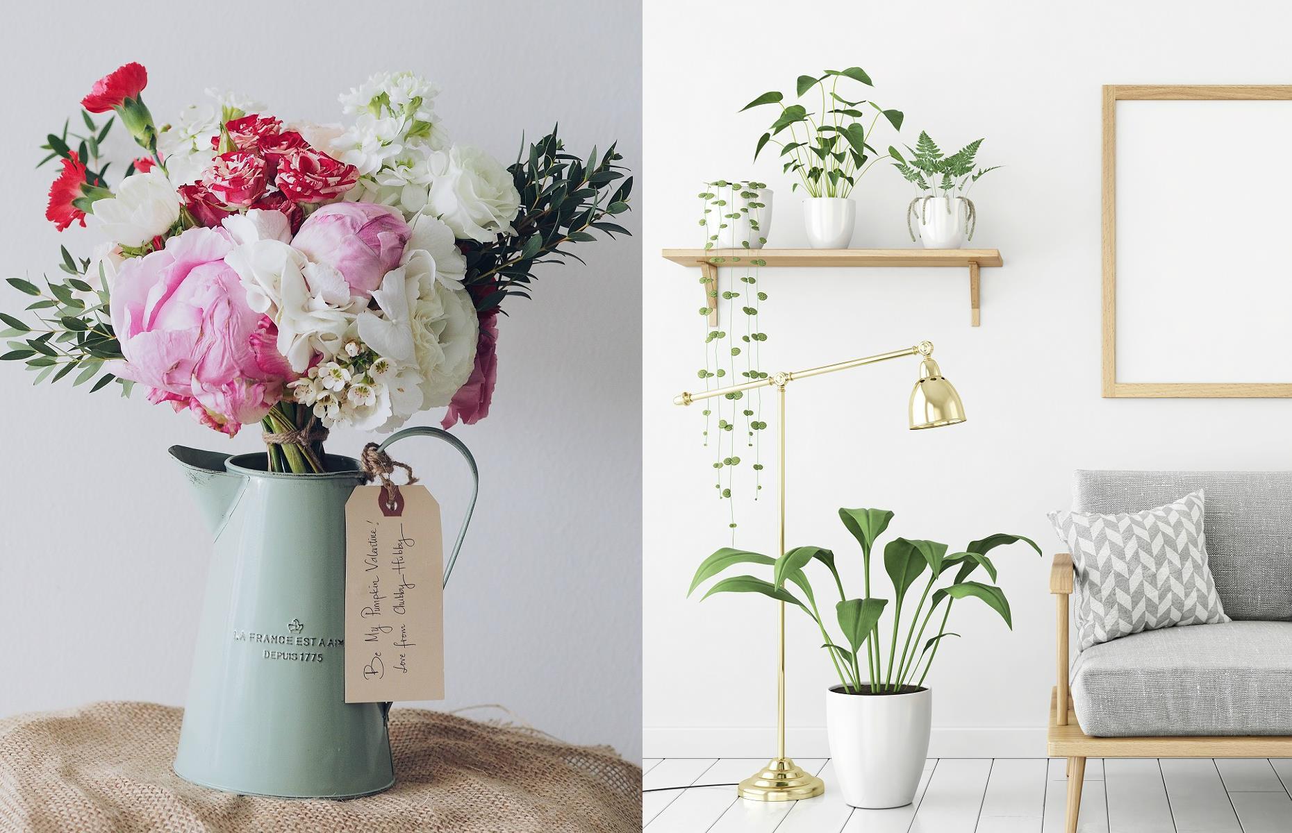 Swap cut flowers for real plants 