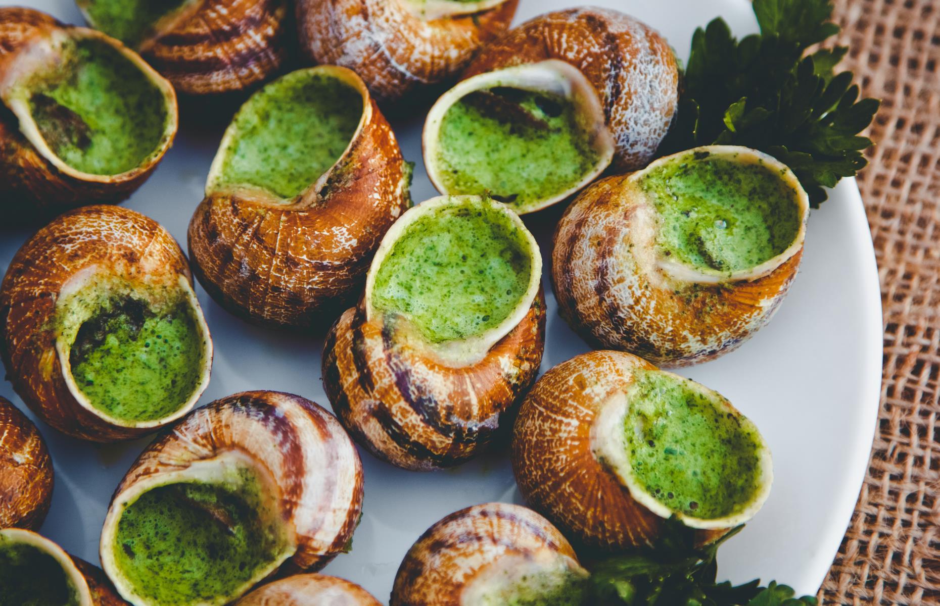 Snails