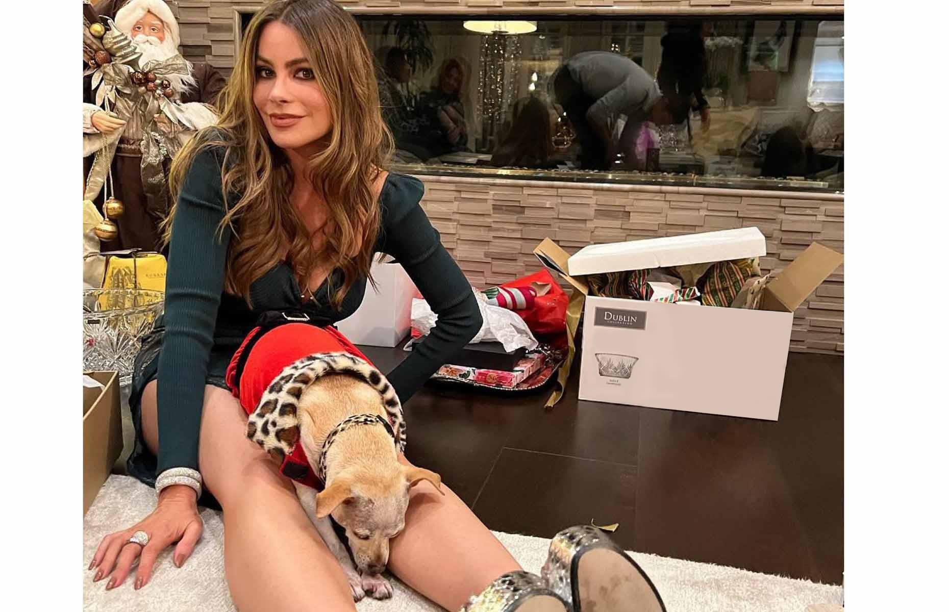 Sofia Vergara
