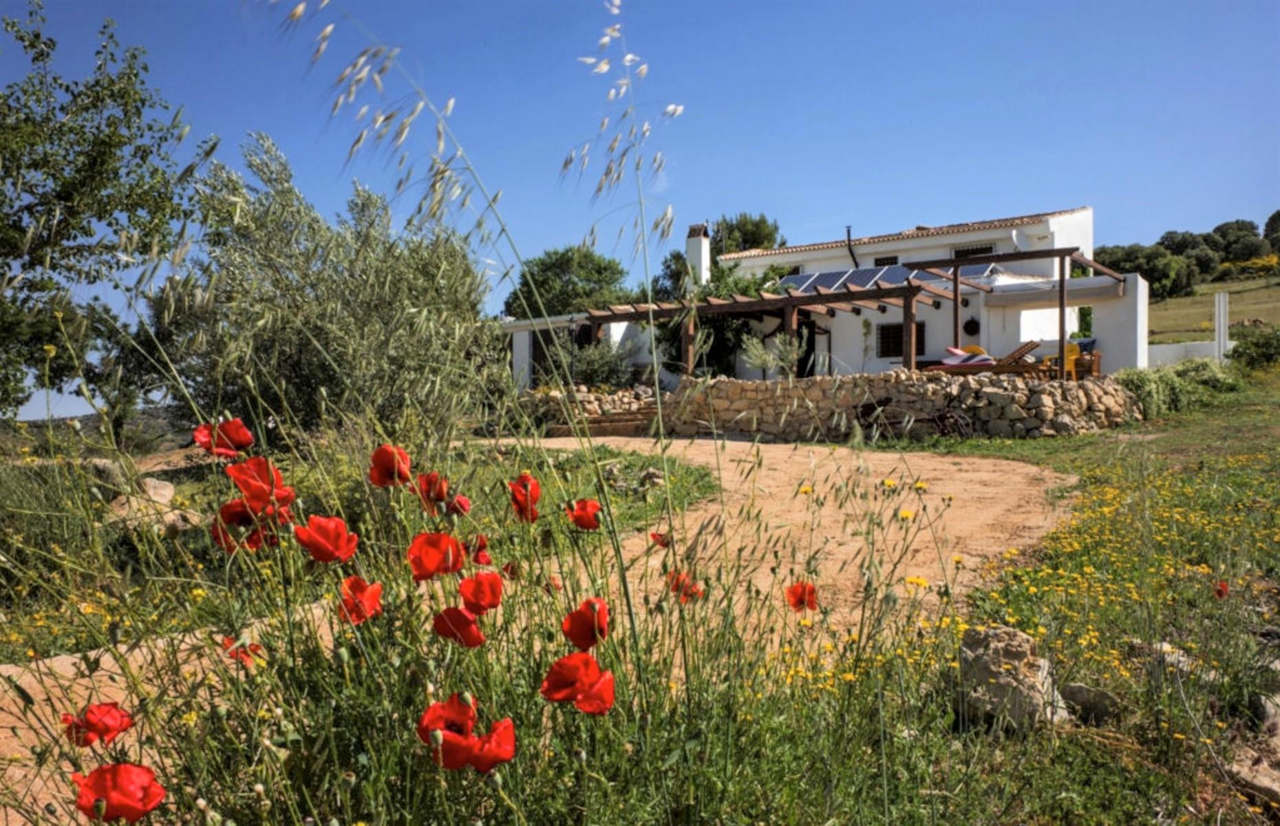 Off-grid cortijo with olive and almond groves, Granada, Spain: £210,000 ($263k)
