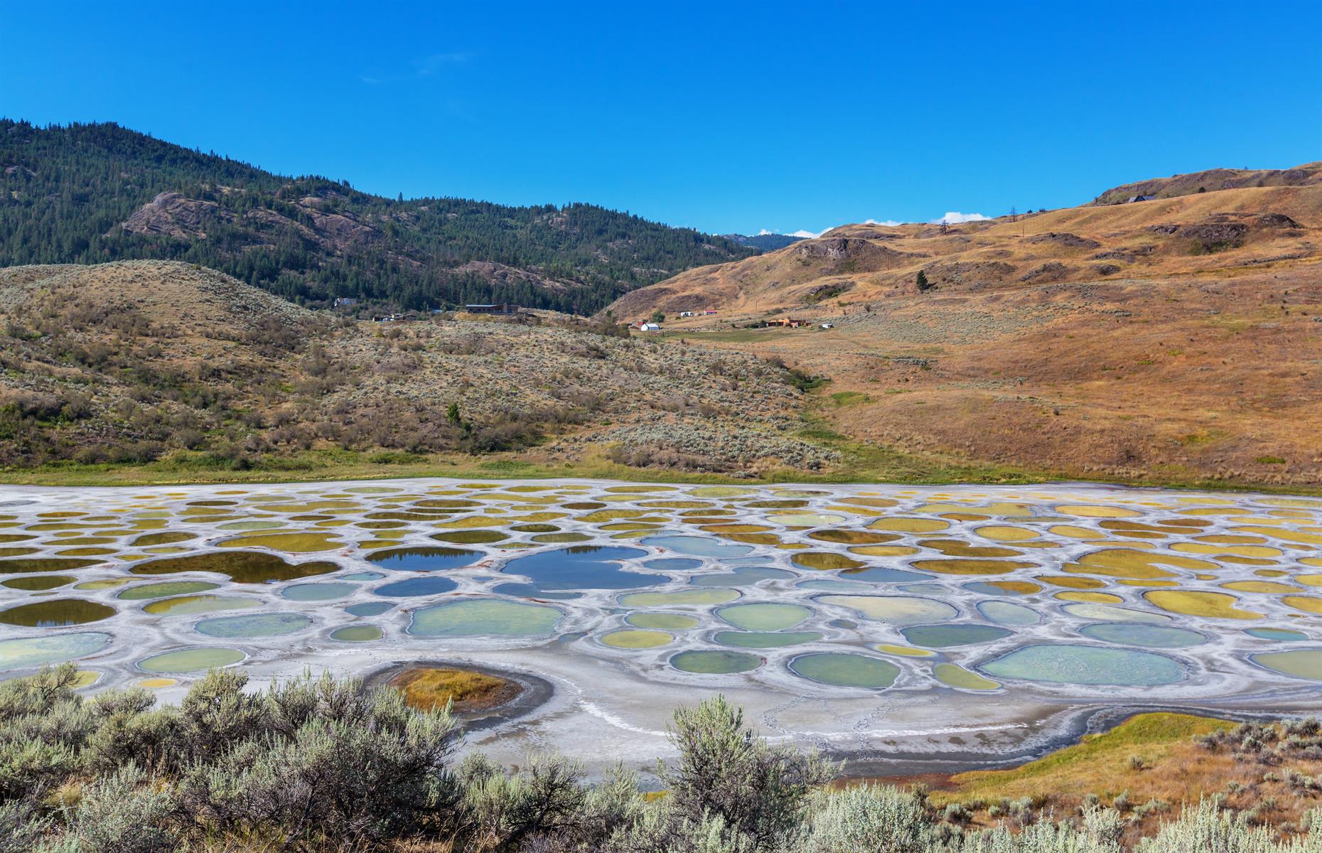 Spotted Lake, British Columbia, Canada