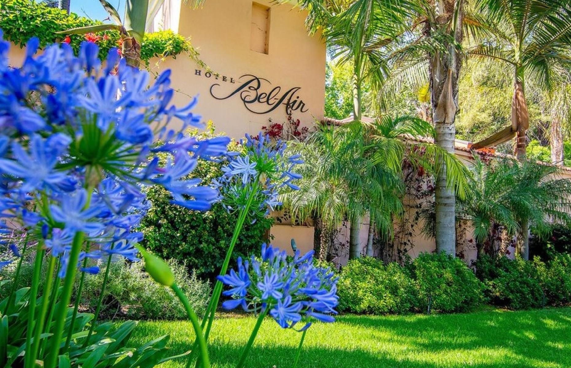 Neighbours to the stars 