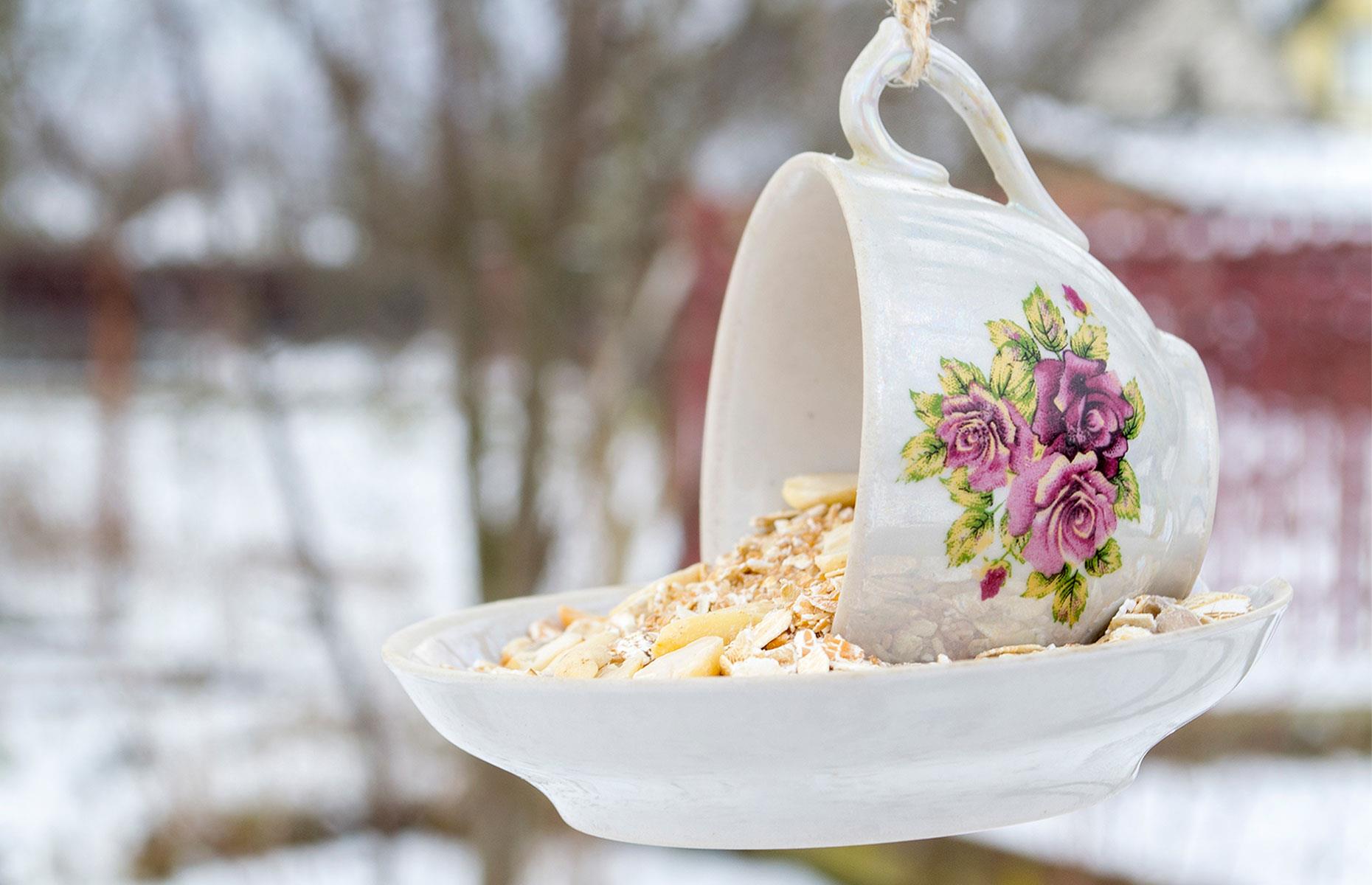 Teacup bird feeder
