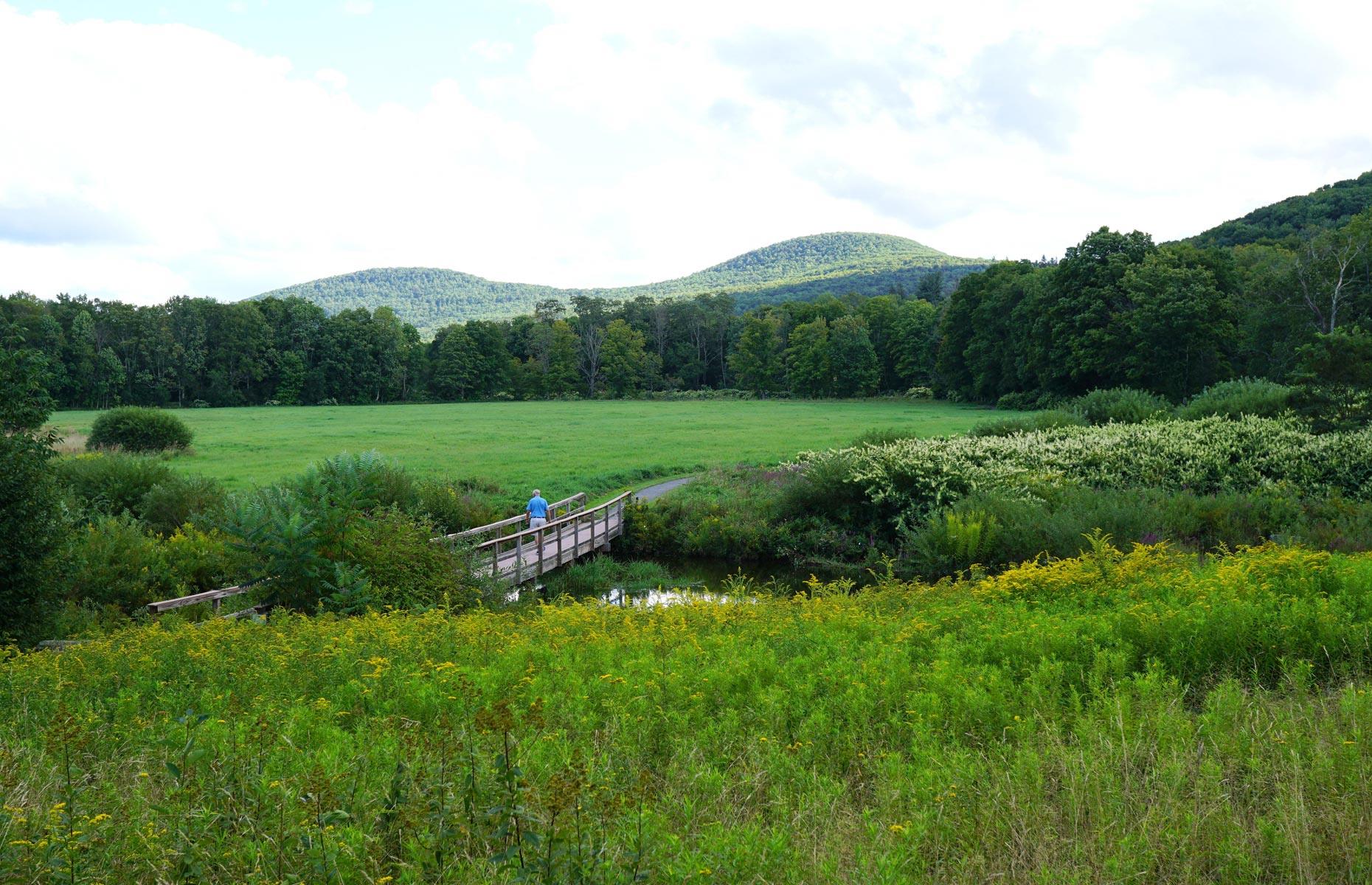 New York: Eastwind, Windham