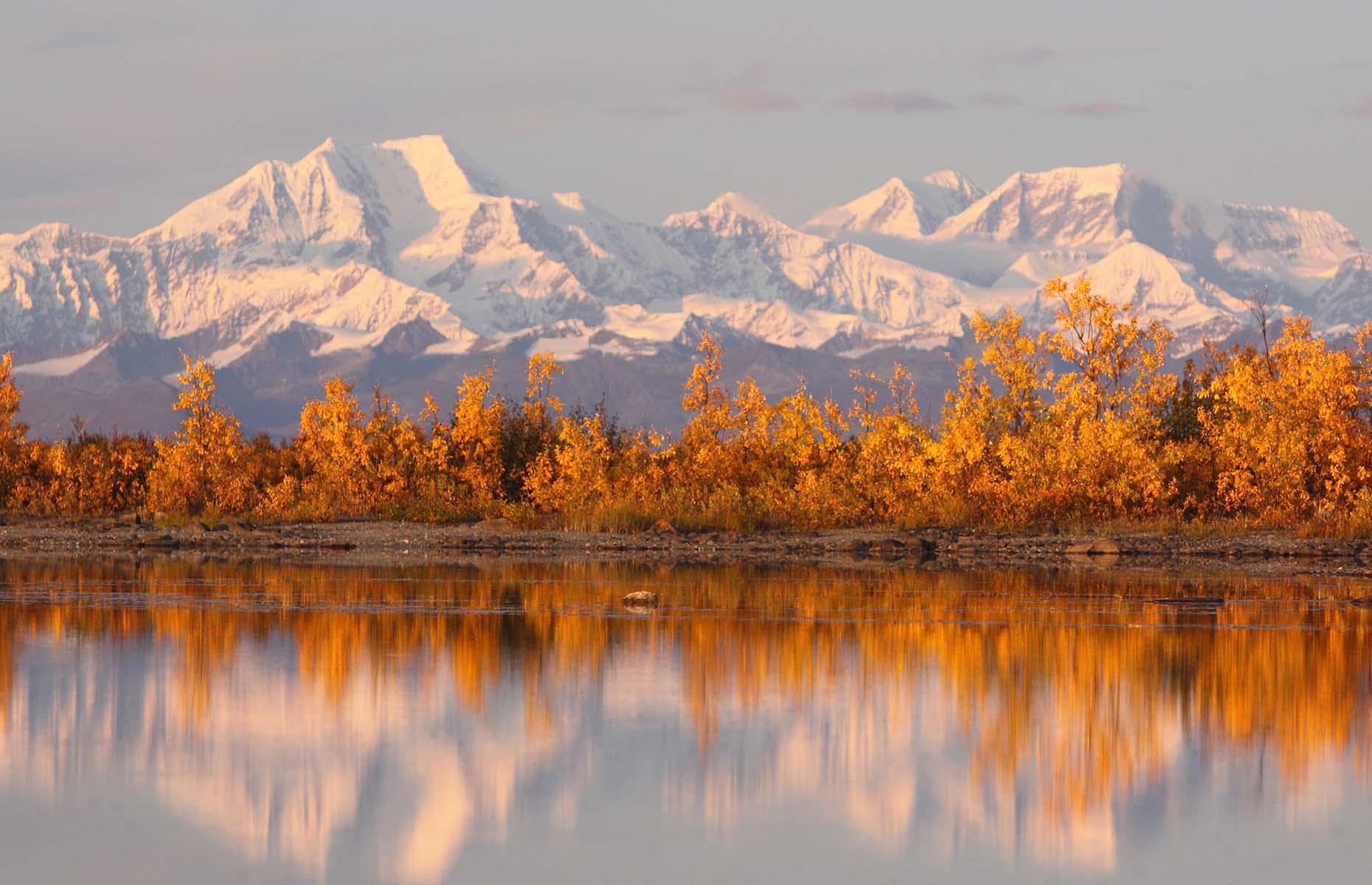 Autumn colours, Denali National Park, Alaska
