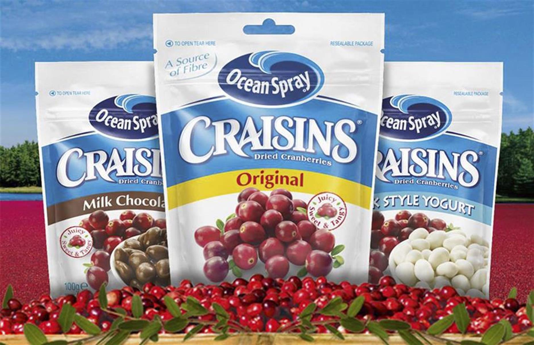 1993: Craisins  